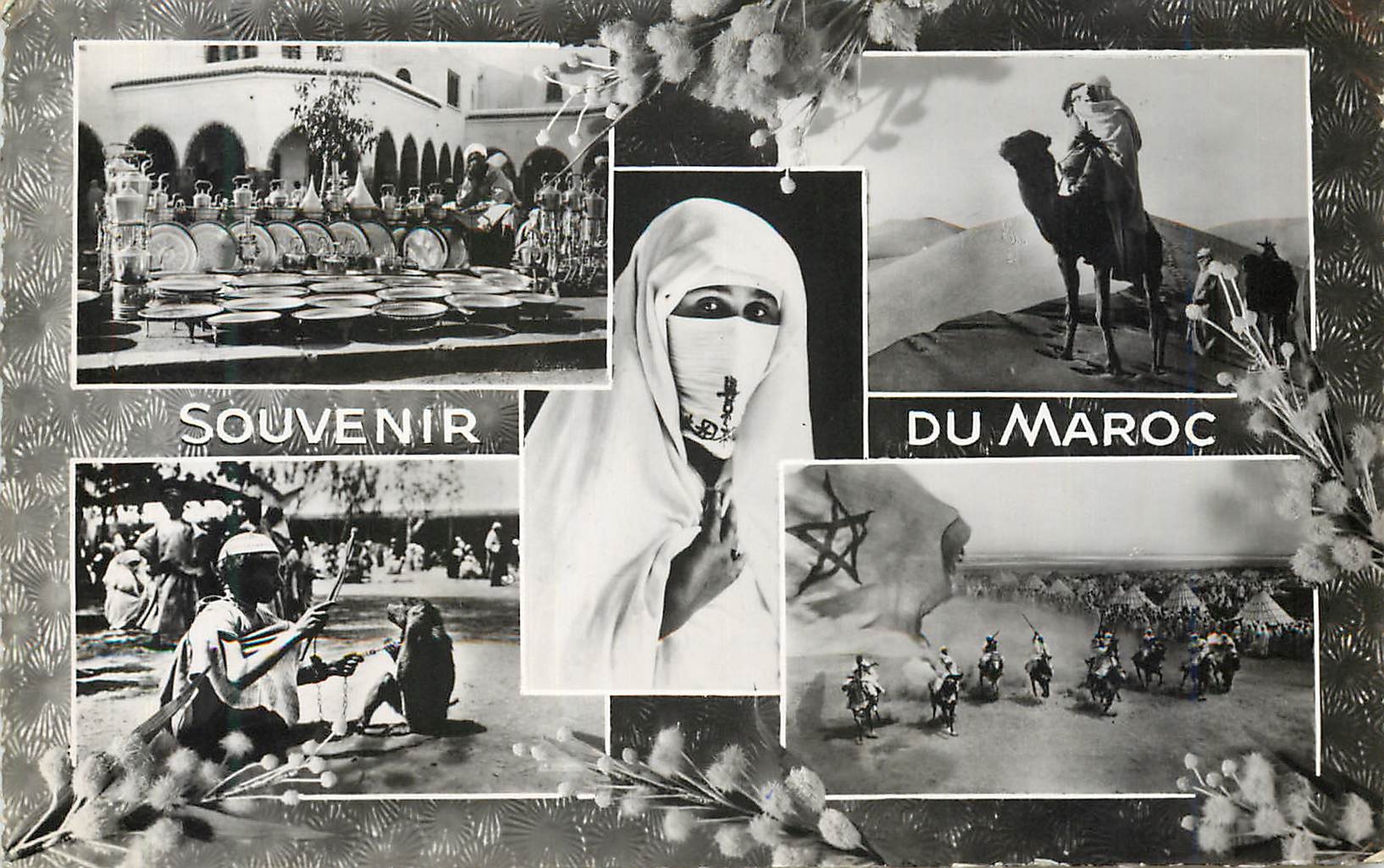CPM Maroc souvenir Chameau Femme