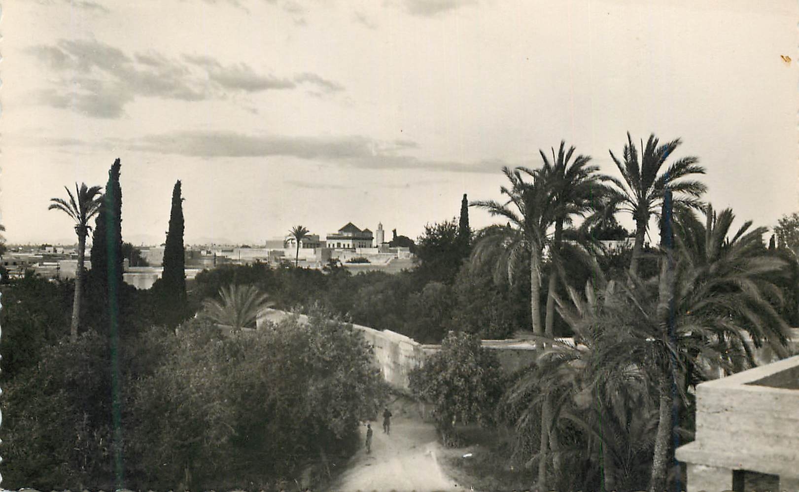 CPM Marrakech vue artistique