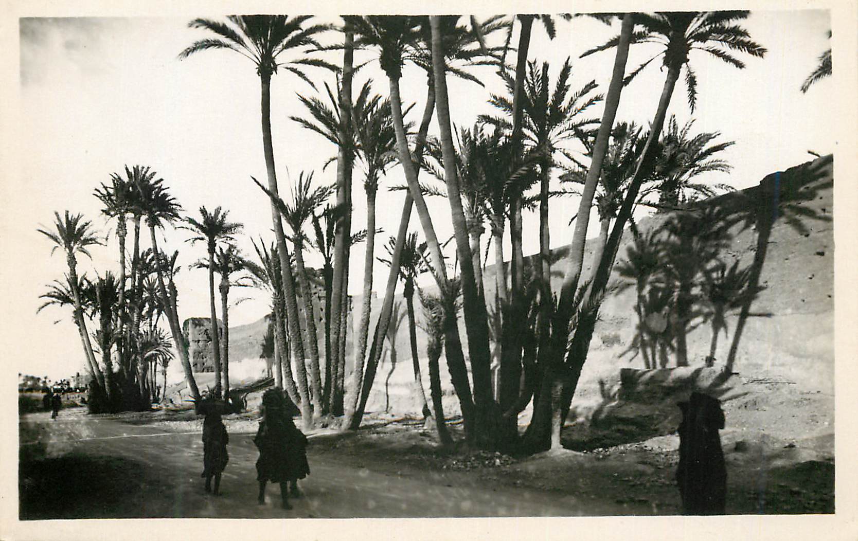CPM Marrakech les remparts et la palmeraie