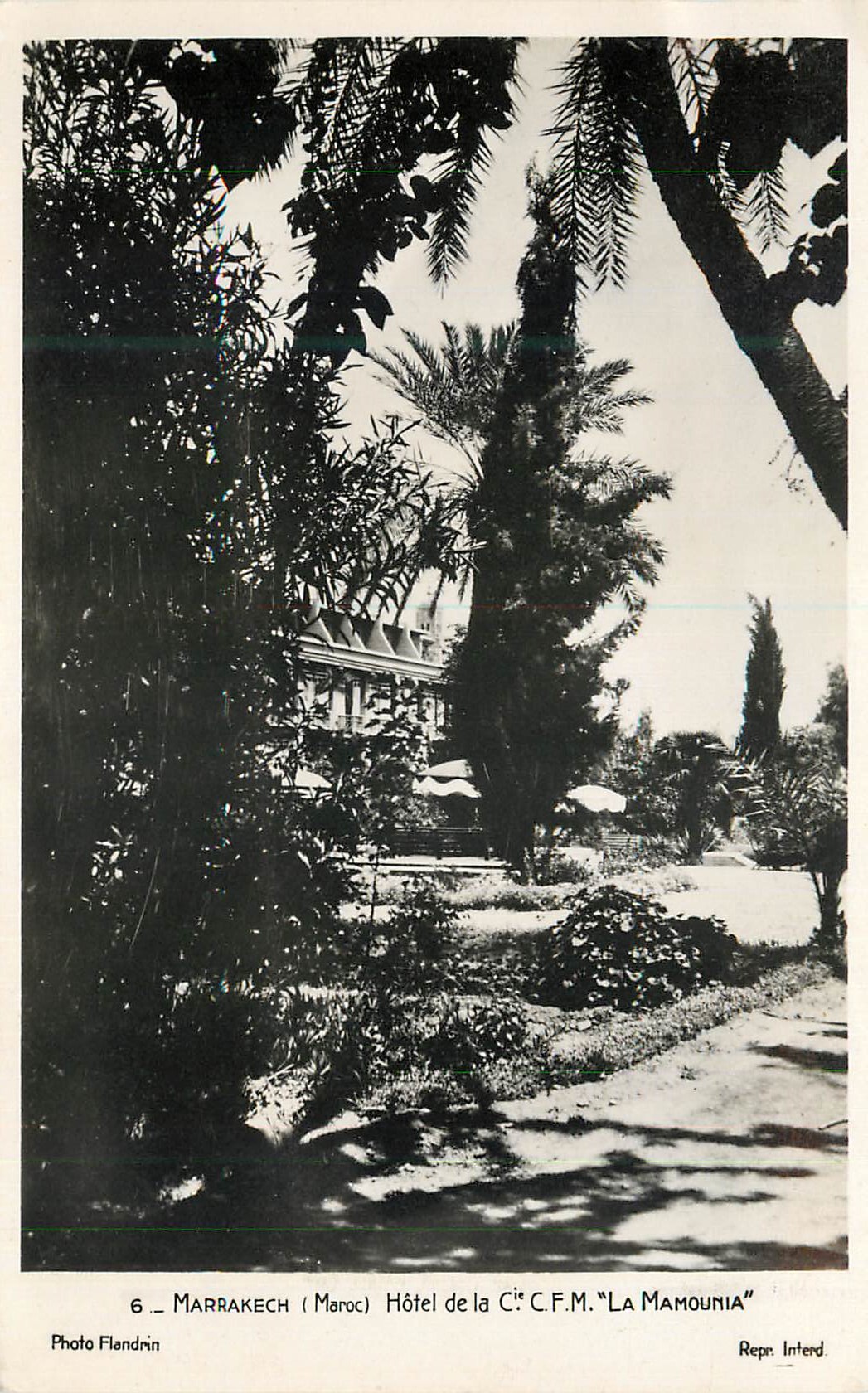 CPM Marrakech (maroc) hotel de la ccfm mamounia