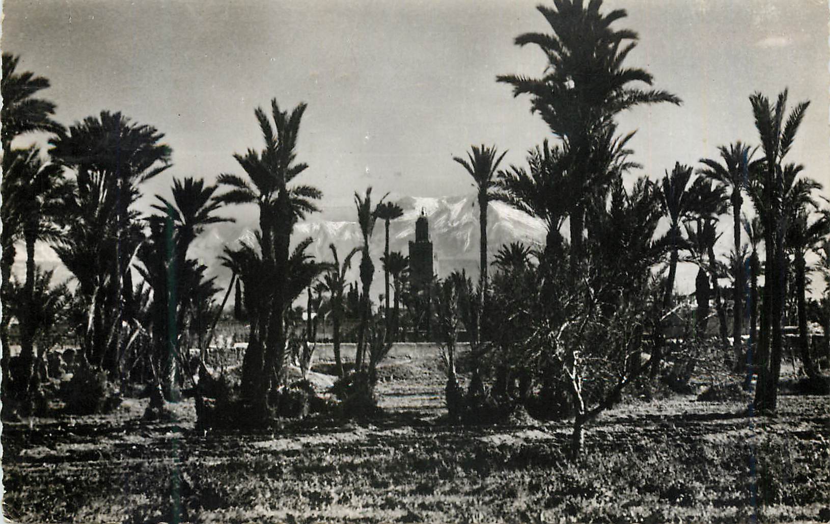 CPM Marrakech la palmeraie et la koutoubia