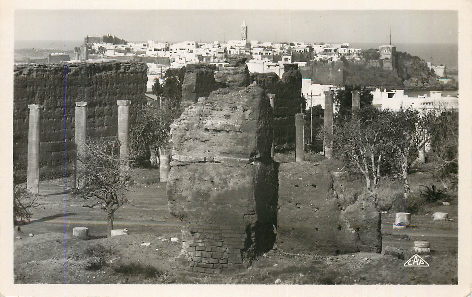CPM Rabat les ruines de la tour hassan et la pointe des oudaias