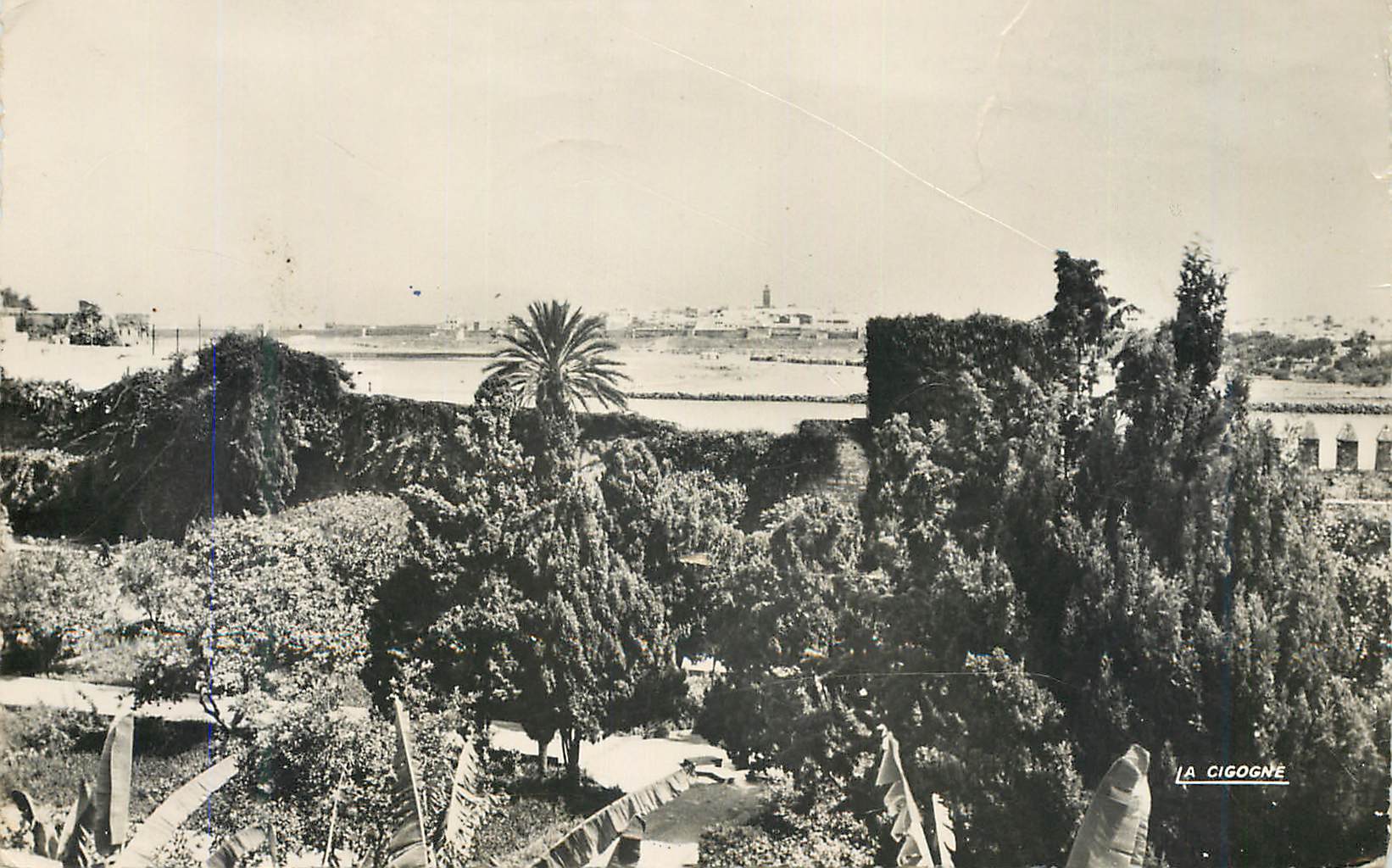 CPM Rabat sale vue des oudayas