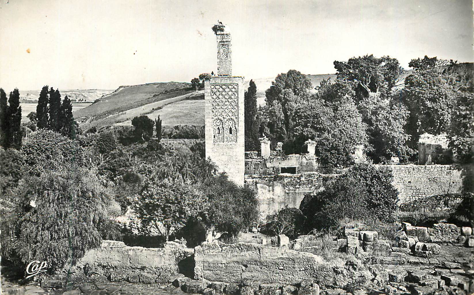 CPM Rabat vestiges du chellah et minaret de l'ancienne mosquee