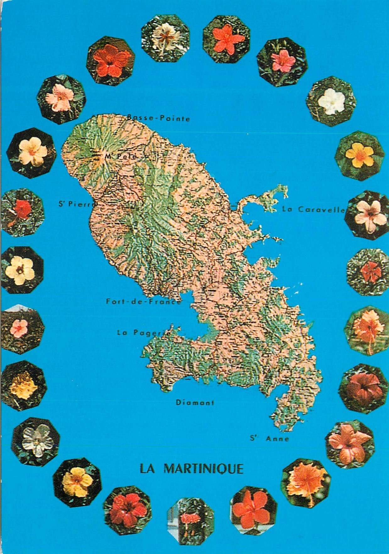 CPM Martinique Madinina L'Ile aux Fleurs Hibiscus