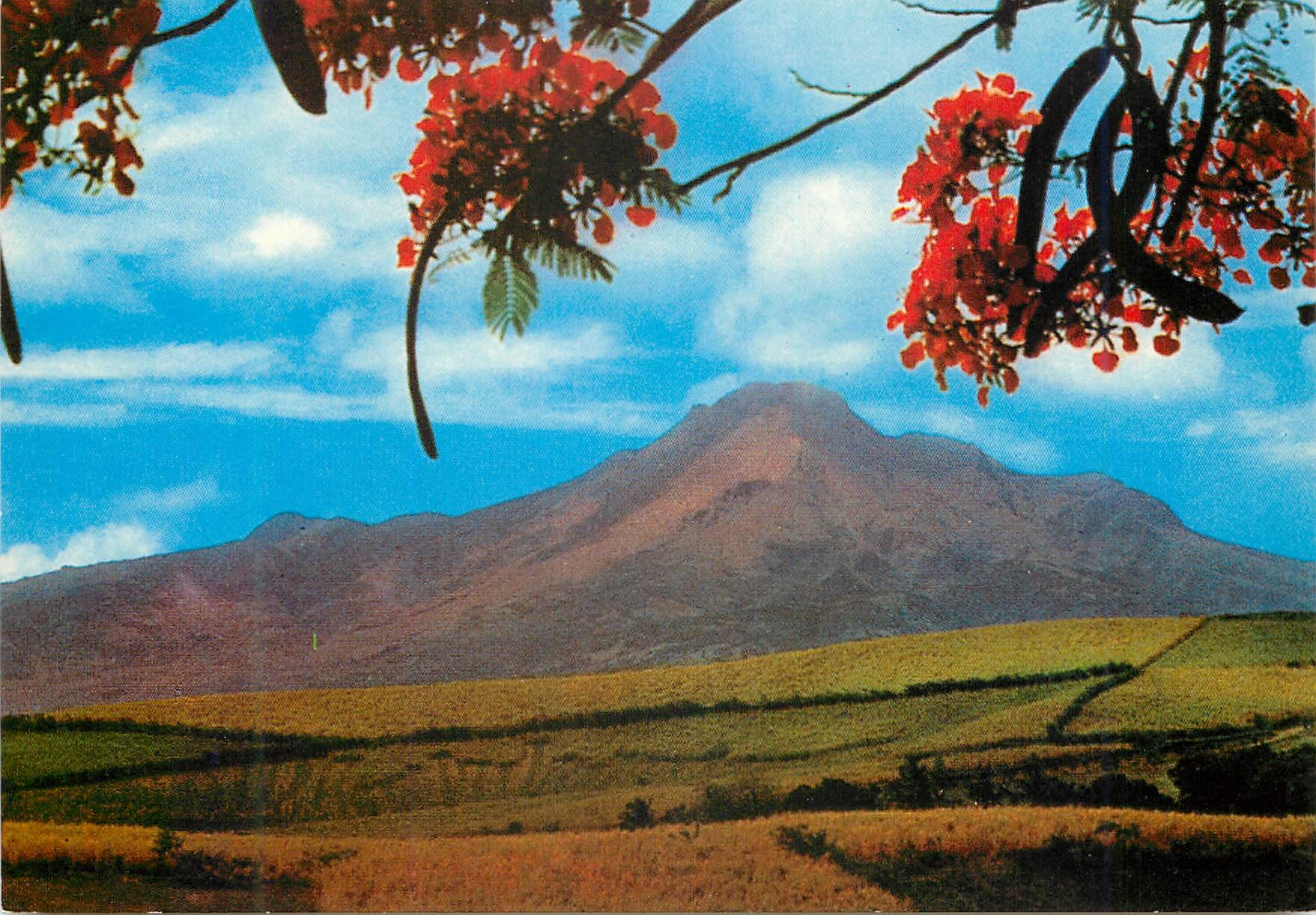 CPM Martinique La Montagne Pelee vue du Morne aux Boeufs