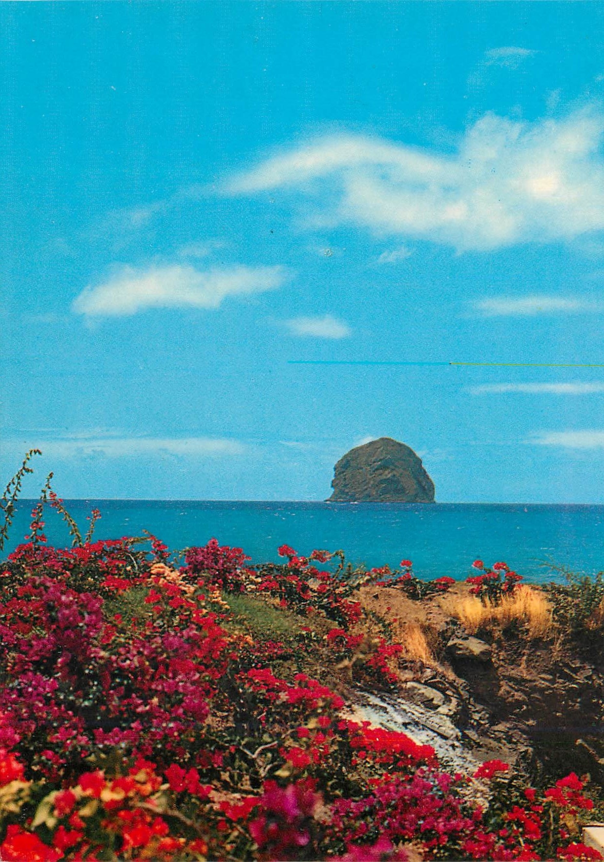 CPM Martinique Diamant Le Rocher vu de l'hotel Diamant Rock