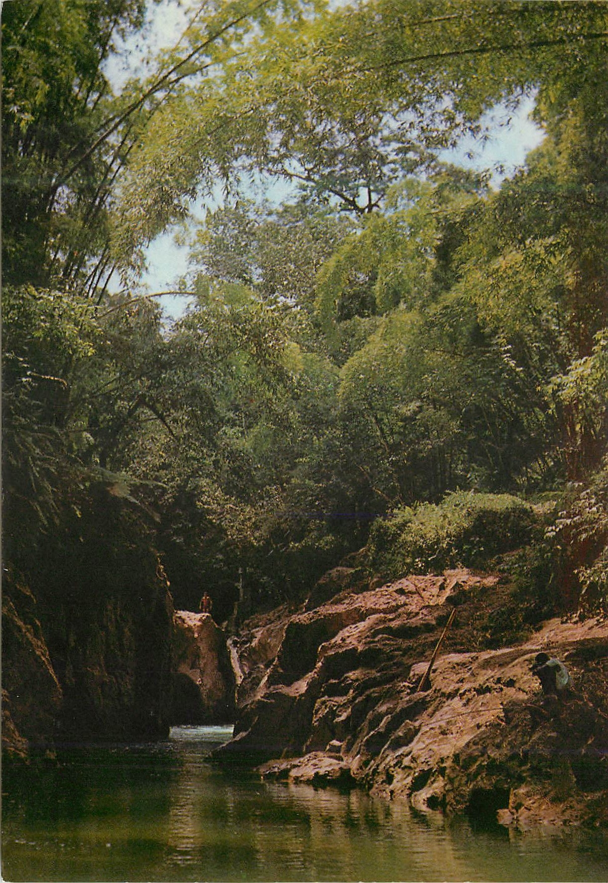 CPM Martinique Ajoupa Bouillon Le Saut Babin