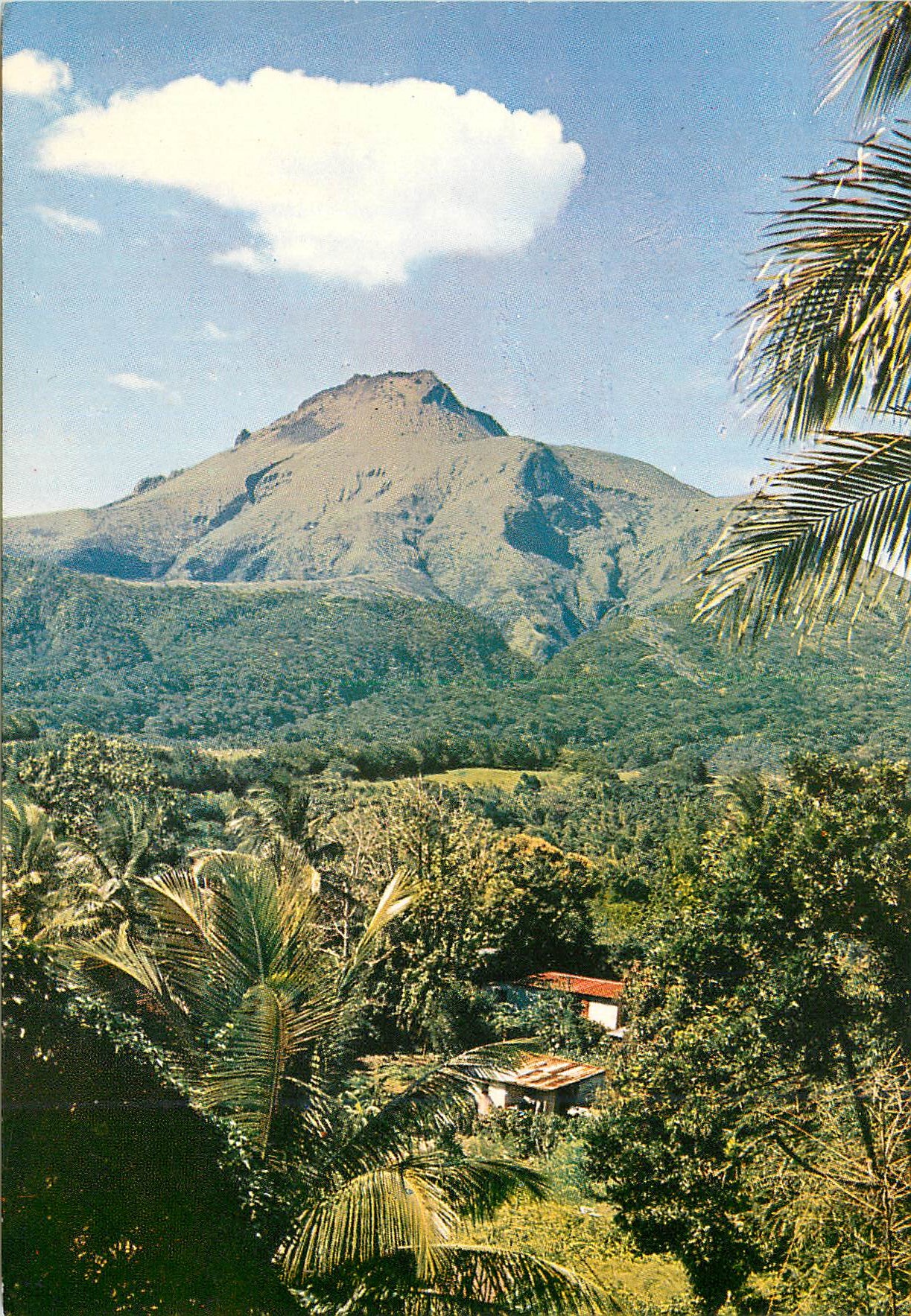 CPM Martinique Le Montagne Pelee vue du Morne Rouge