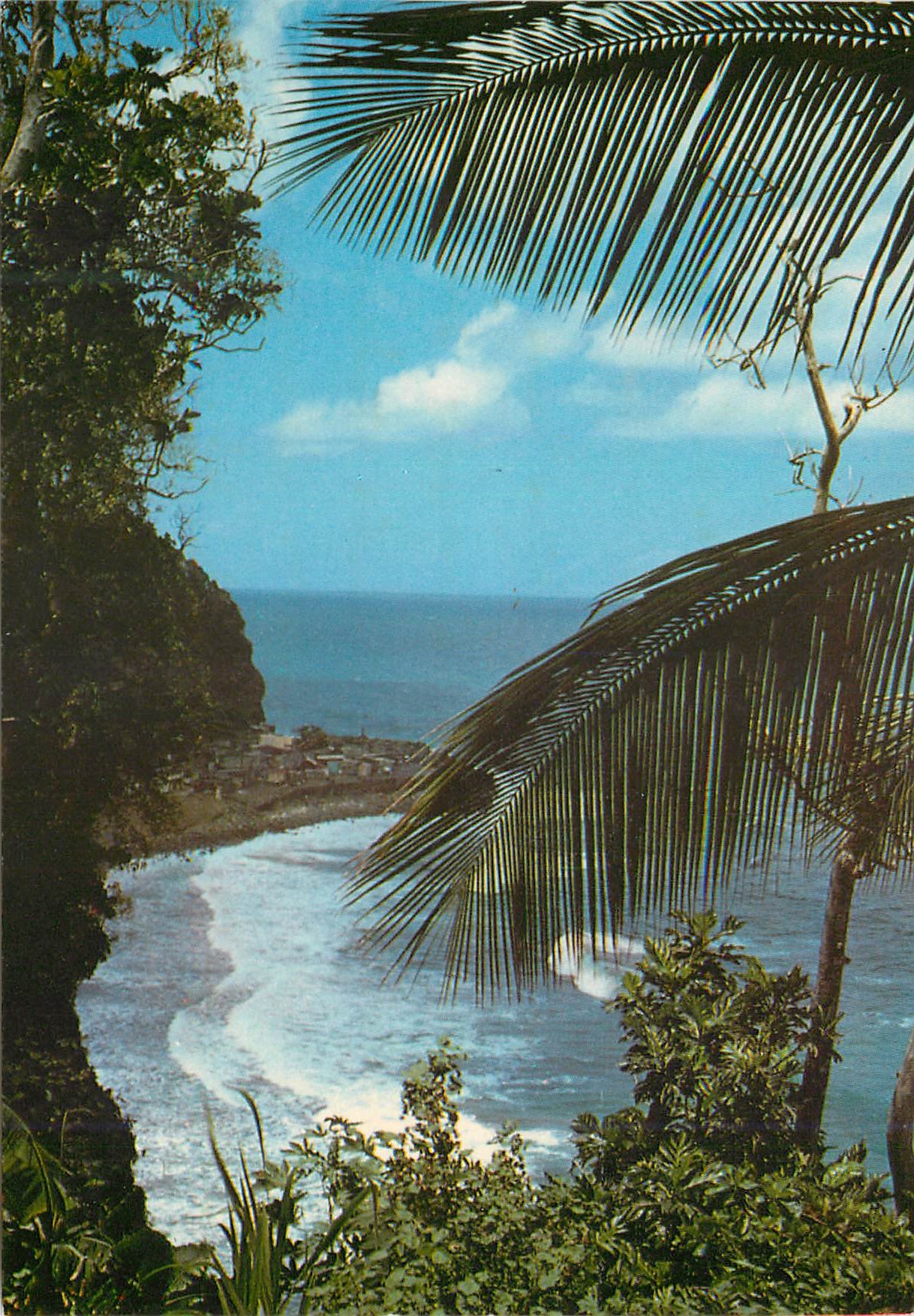 CPM Martinique Macouba Falaises sur l'Atlantique