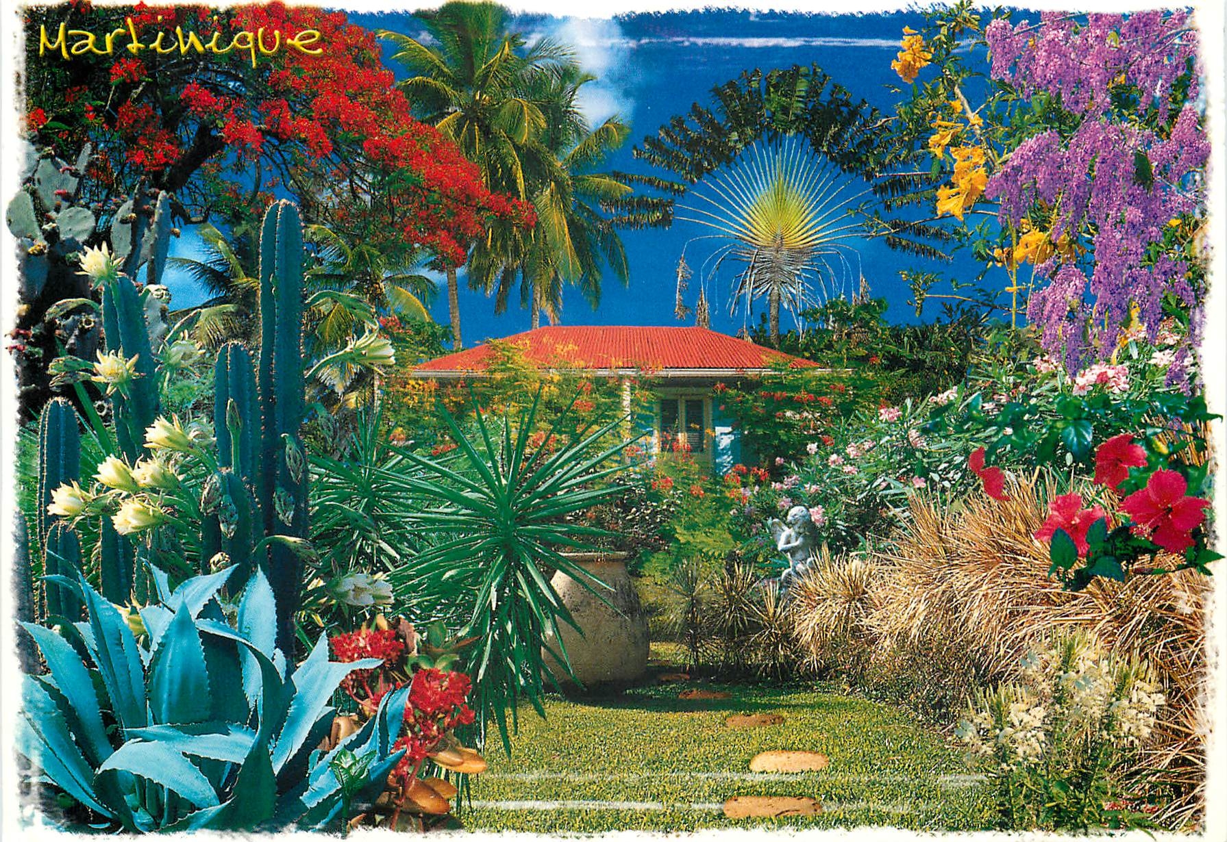 CPM Martinique Antilles Francaise Jardin Tropical