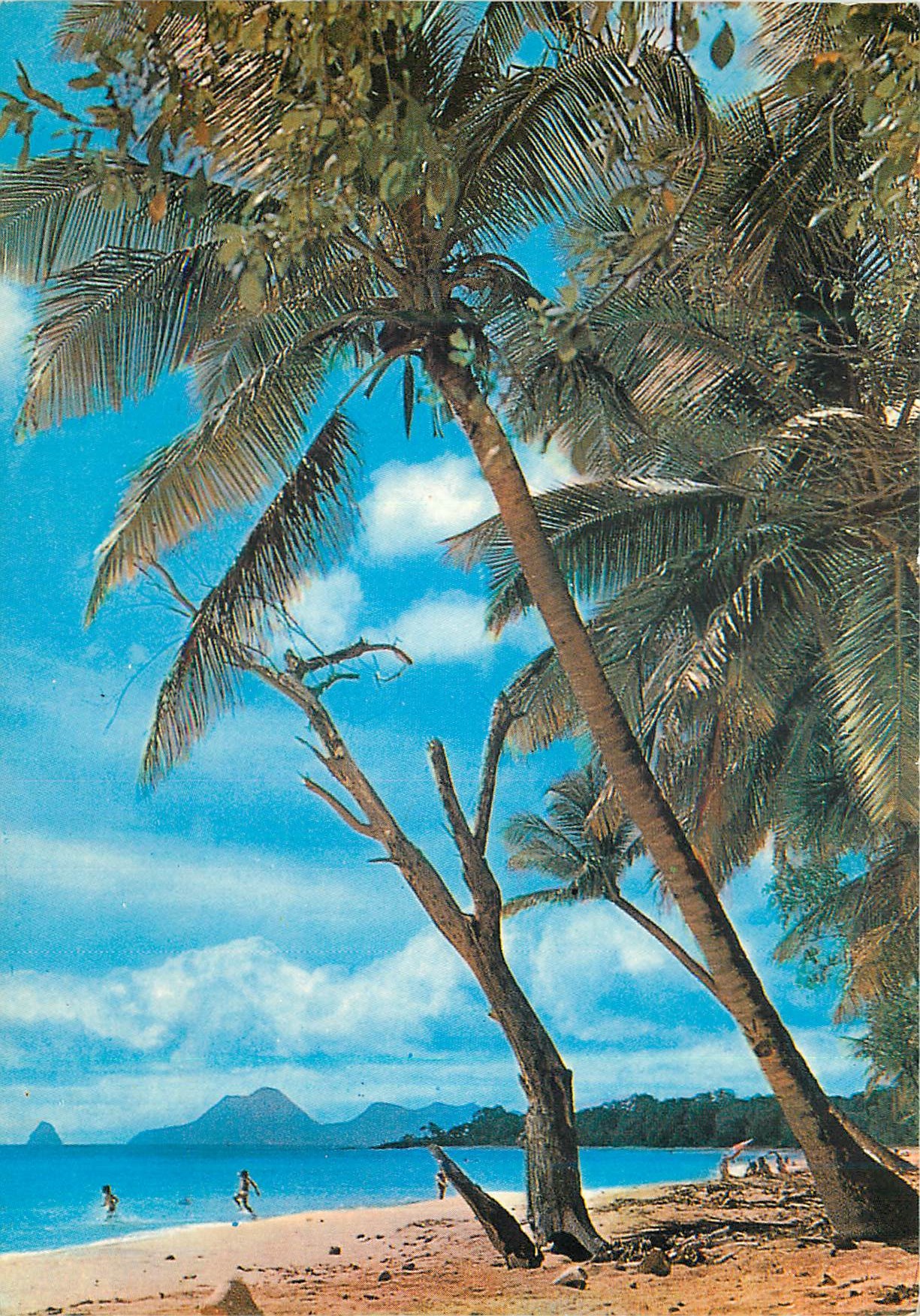CPM Martinique Sainte-Anne Plage des Salines