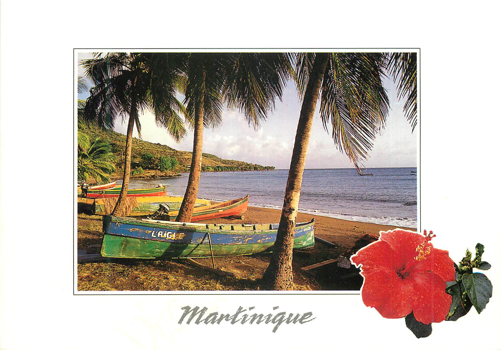 CPM Martinique Sous les cocotiers yoles et gommiers