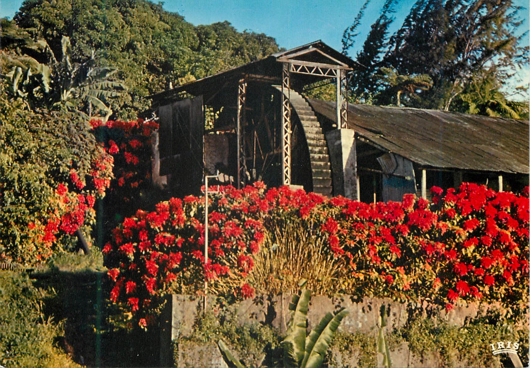 CPM Martinique Vieux moulin vers Saint-Pierre