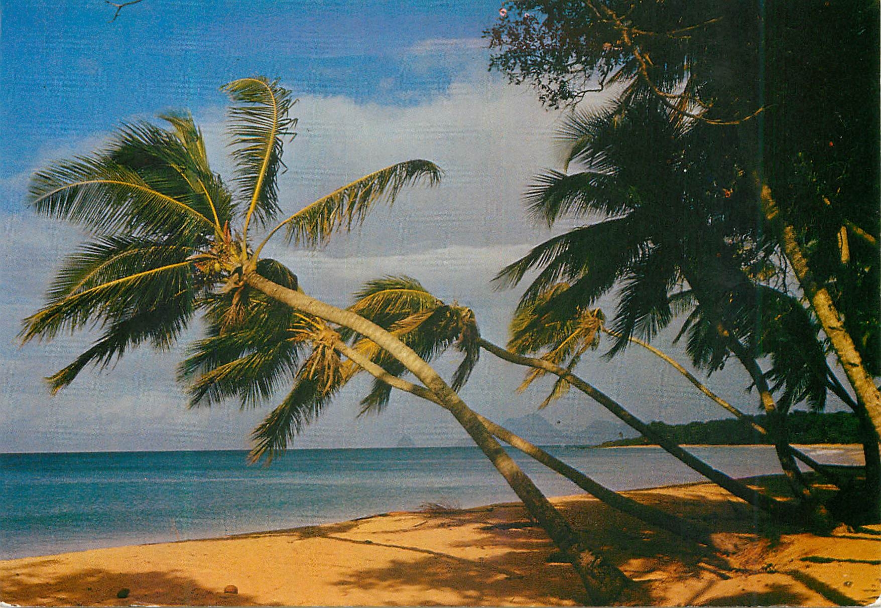 CPM Martinique Sainte-Anne Plage des Salines