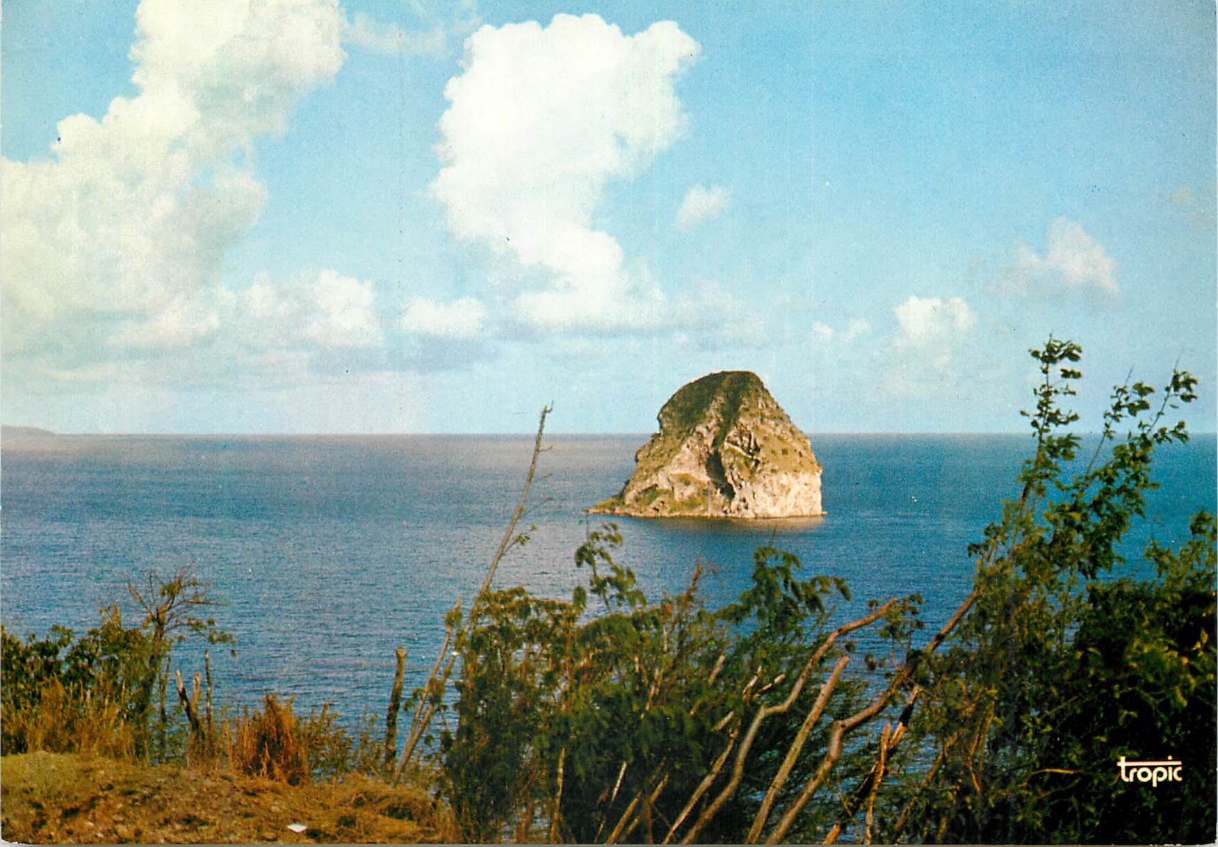 CPM Martinique Le pittoresque rocher du Diamant