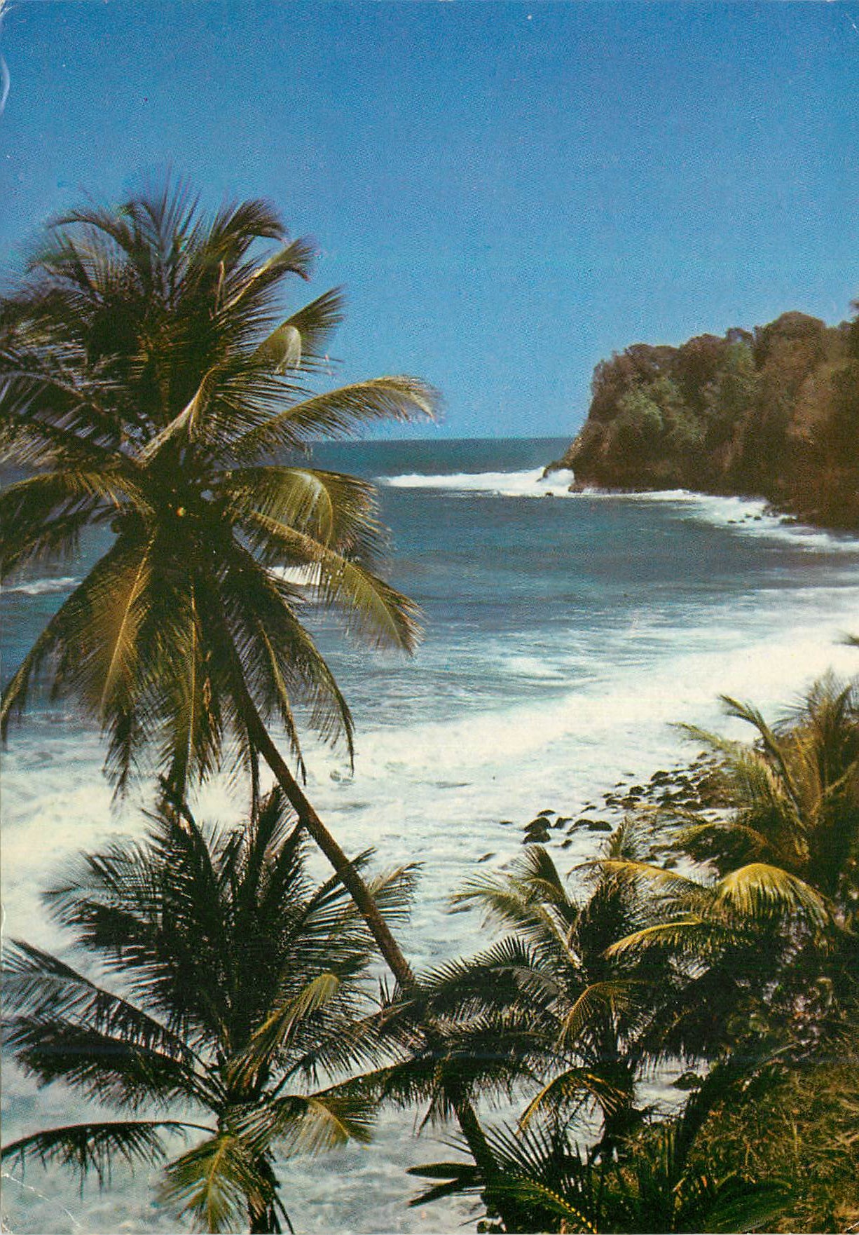 CPM Martinique Lorrain La vague atlantique a l'assaut de la plage