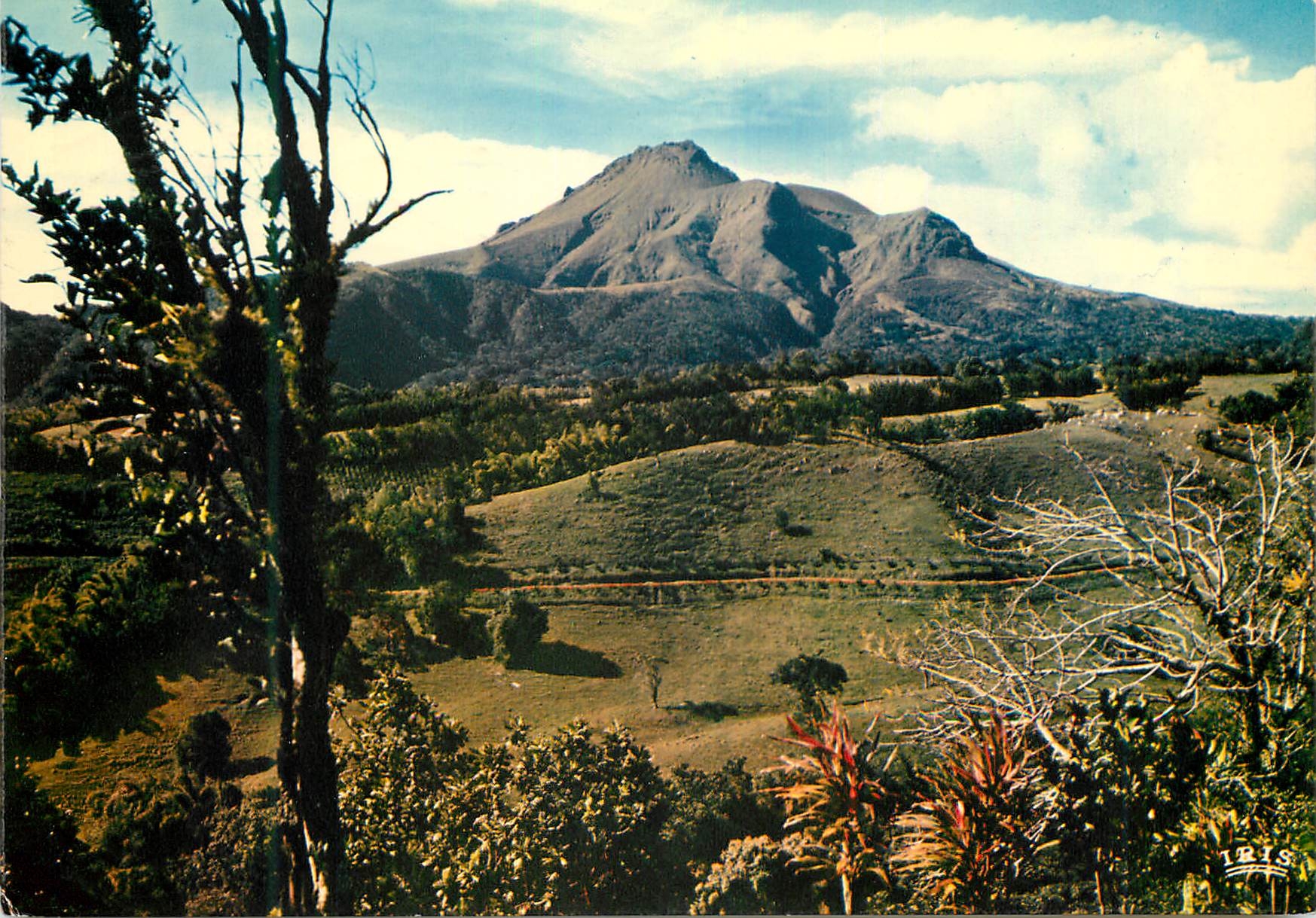 CPM Martinique Des Mornes vue sur la montagne