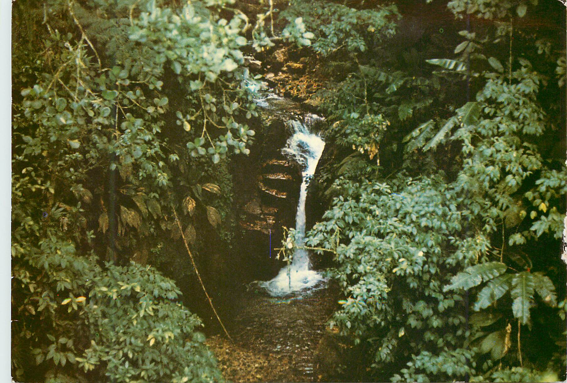 CPM Martinique Environs de Fort-de-France La Cascade d'Absalon