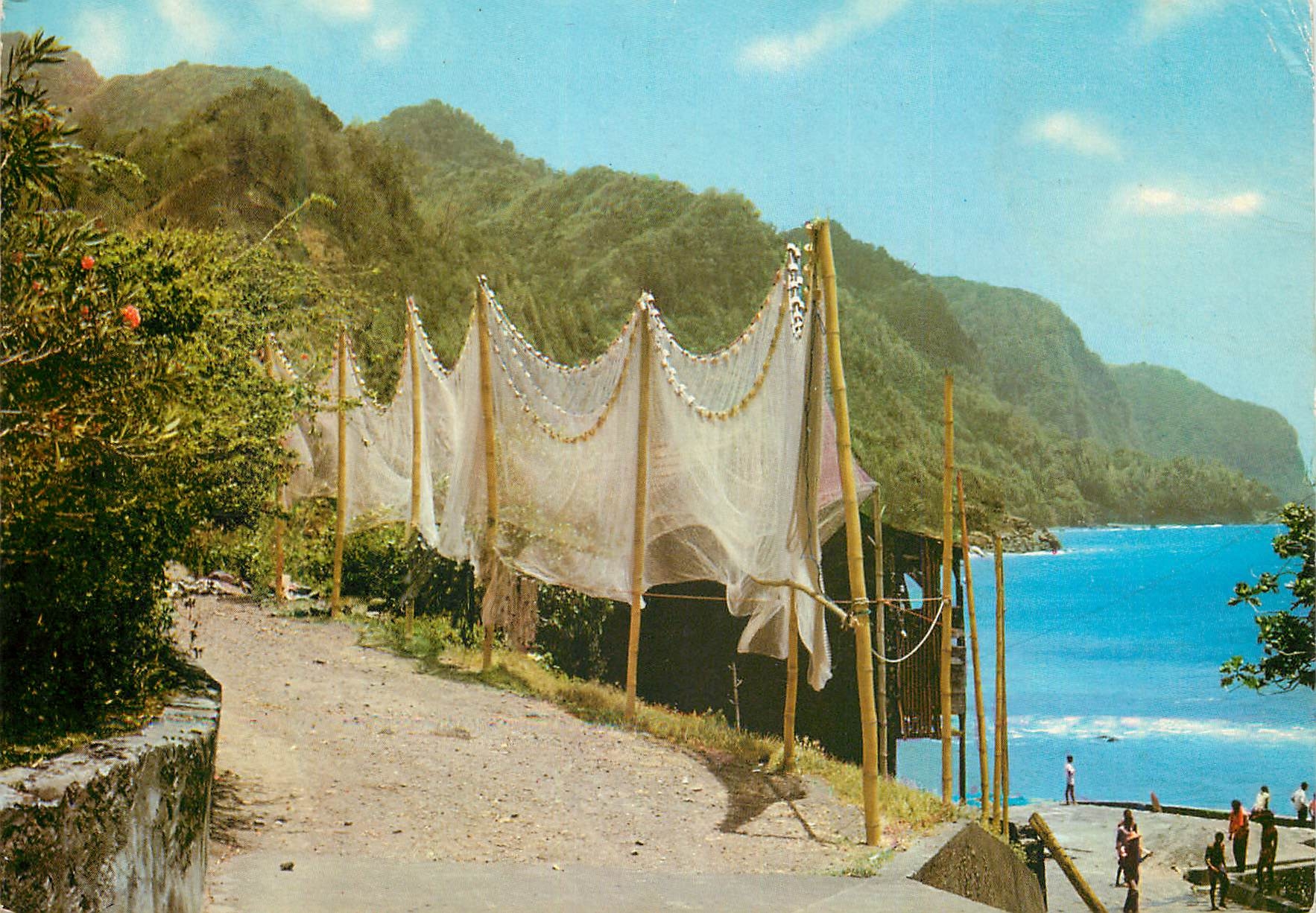 CPM Martinique Grand Riviere Le Cap Saint-Martin Le point le plus nord de l'ile