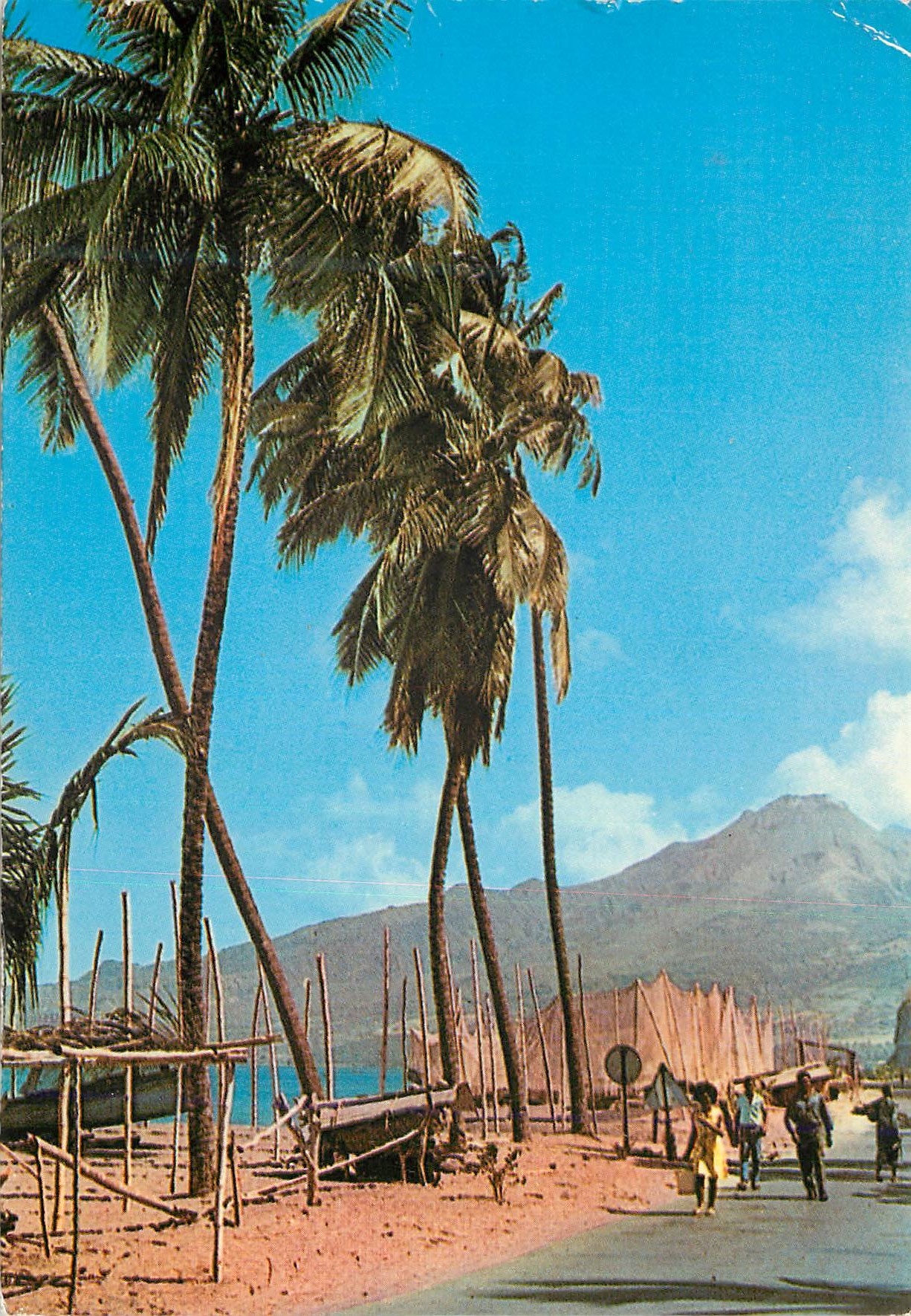 CPM Martinique Plage du Cabaret et Montagne Pelee