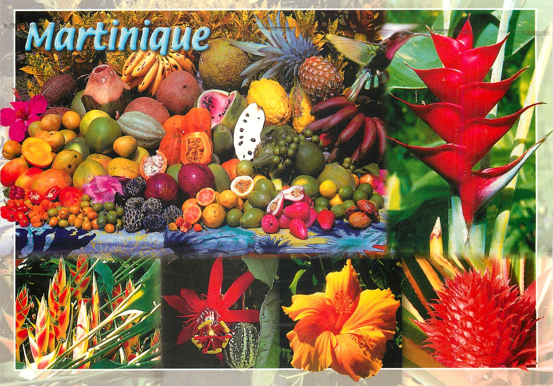 CPM Martinique Antilles Francaise Fleurs et fruits tropicauw