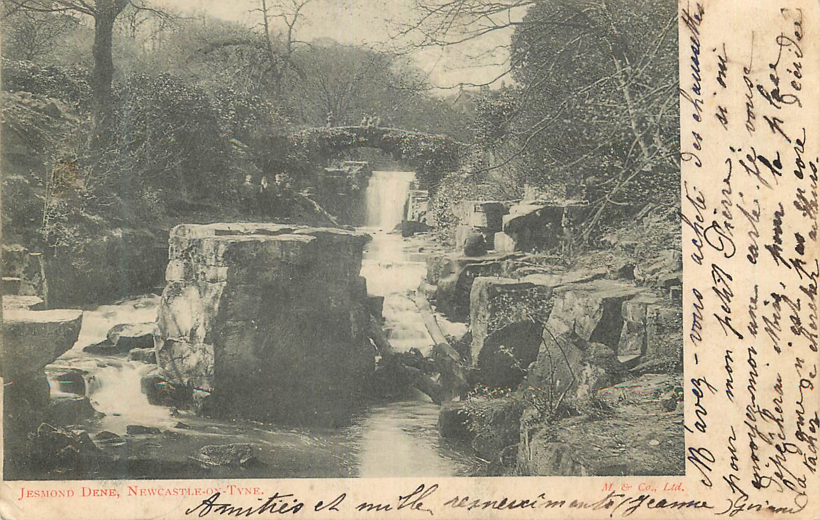 Jesmond Dene, Newcastle-on-Tyne — vue du pont et de la cascade — M. & Co., Ltd.