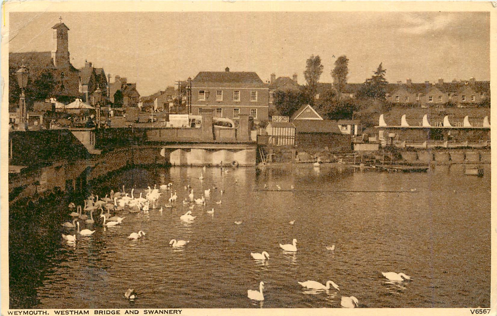 CPA Weymouth Westham Bridge and Swannery