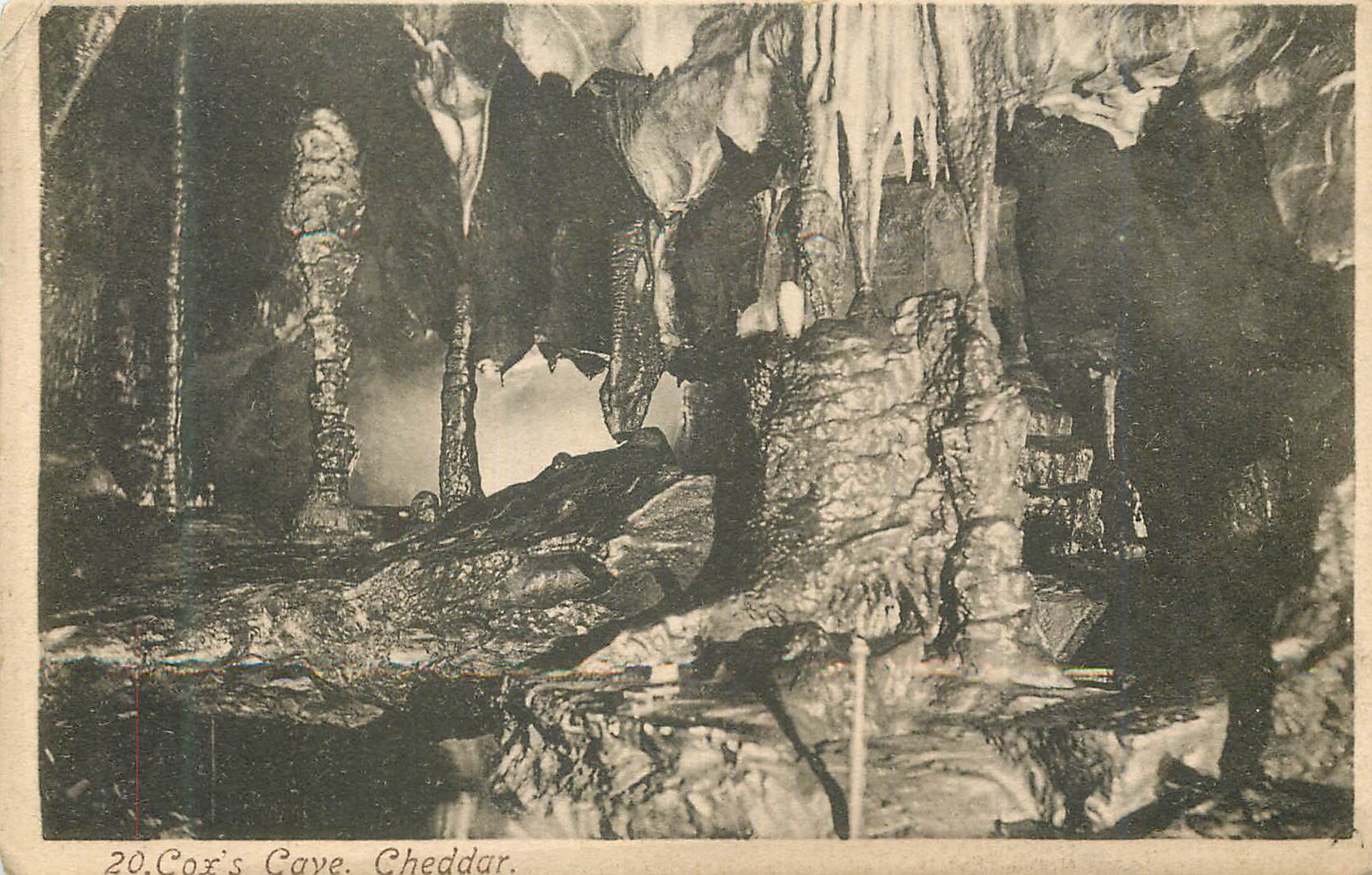 CPA Cox's cave cheddar