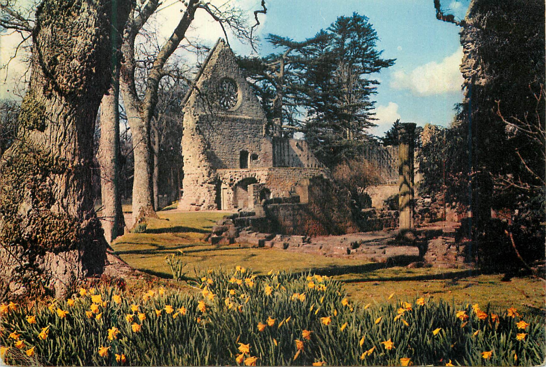 CPM Springtime at dryburgh abbey on the river tweed