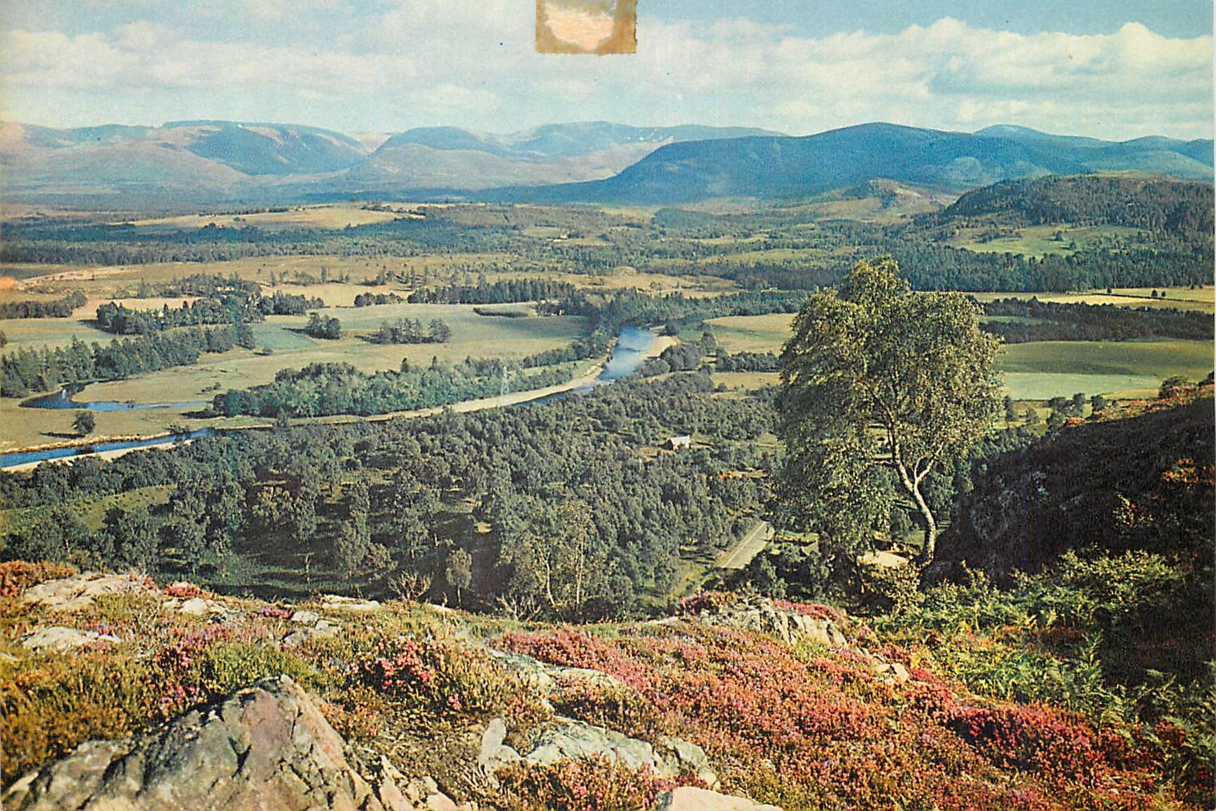 CPM Looking to the larig ghur and braeriach from graigellachie hill above avienmore scotland