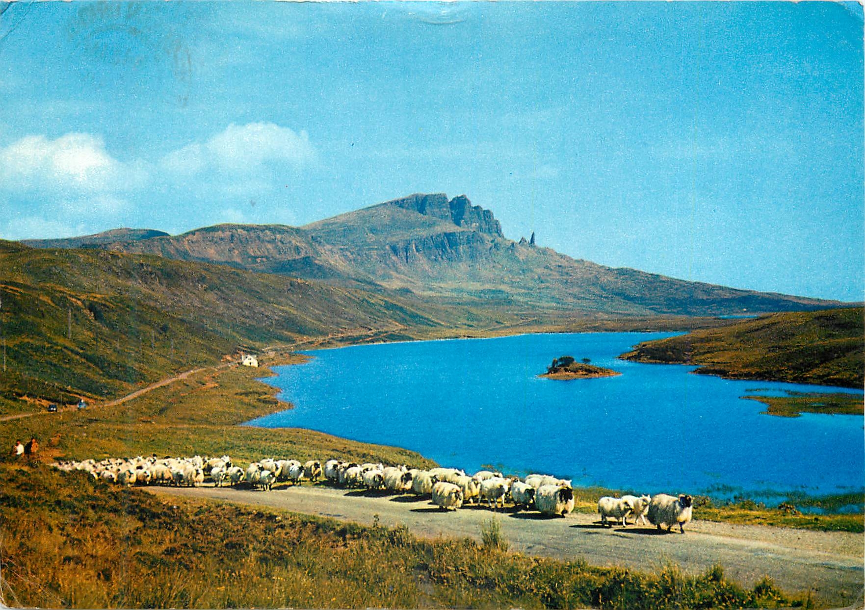 CPM Sheep droving of Loch Fado Isle of Skye