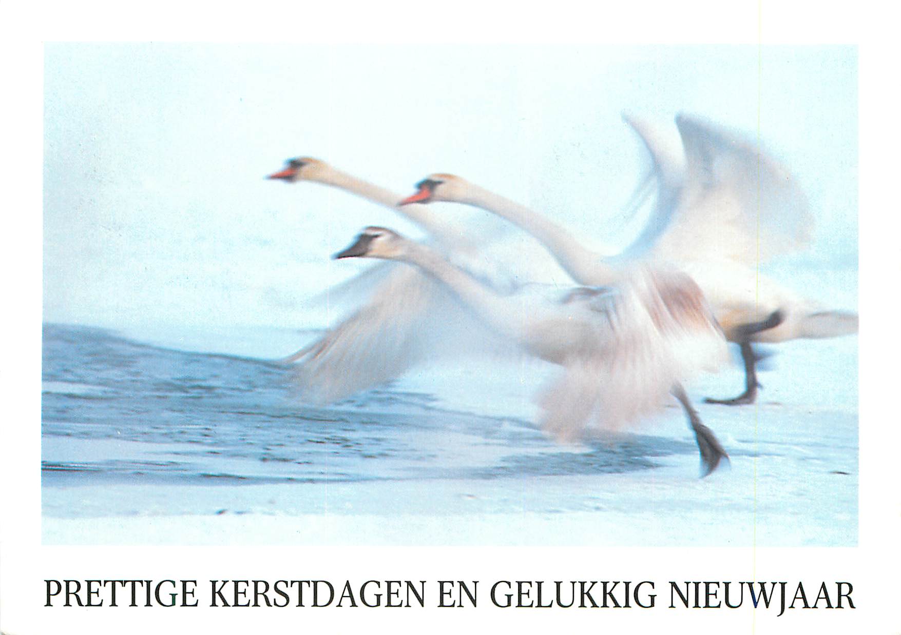 CPM Prettige Kerstdagen en Gelukkig Nieuwjaar