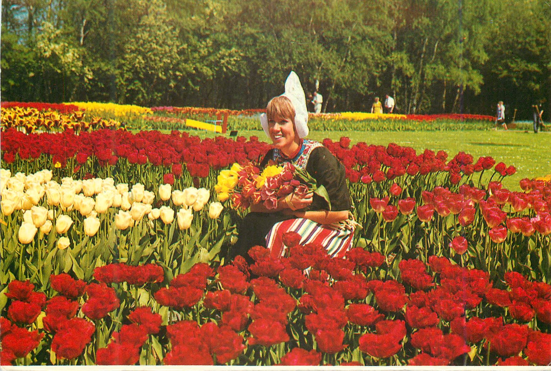 CPM Holland La Hollande en parure des fleurs