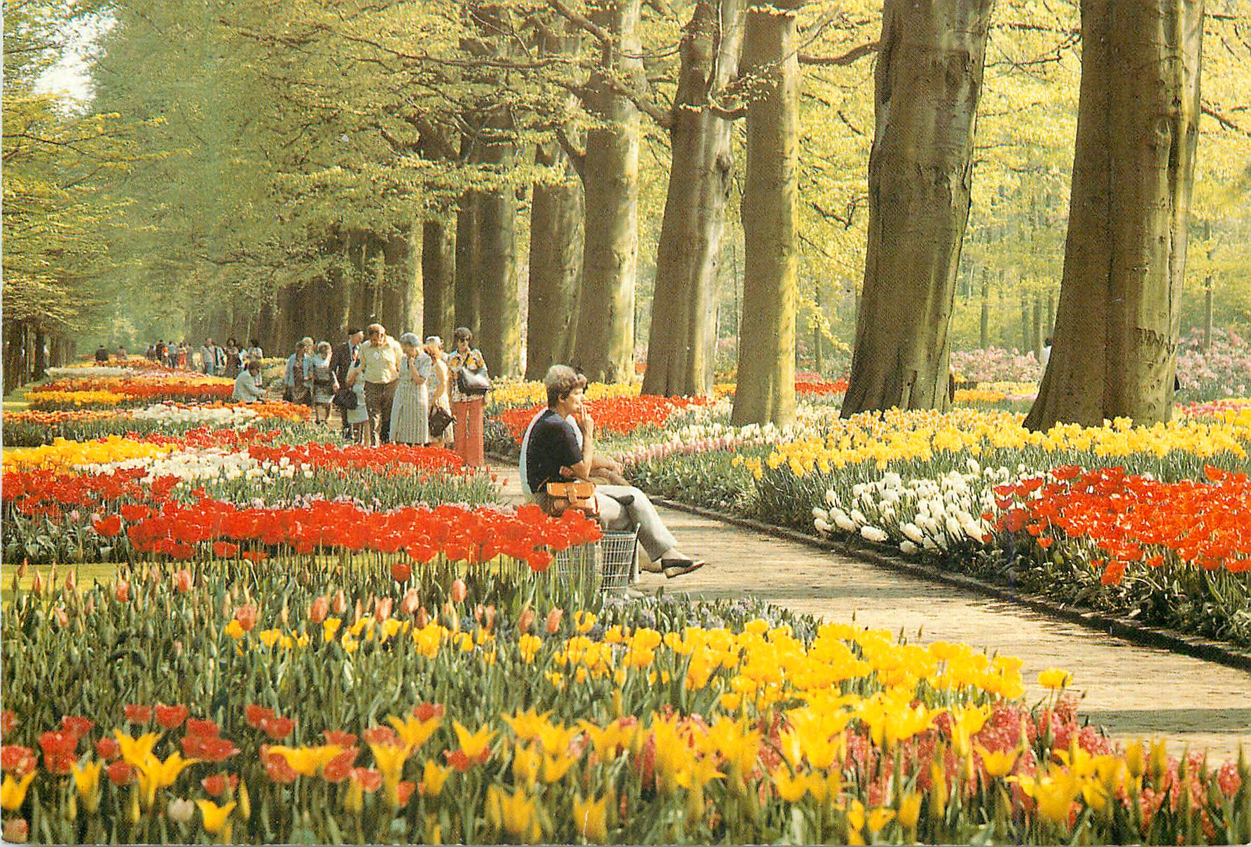 CPM Holland