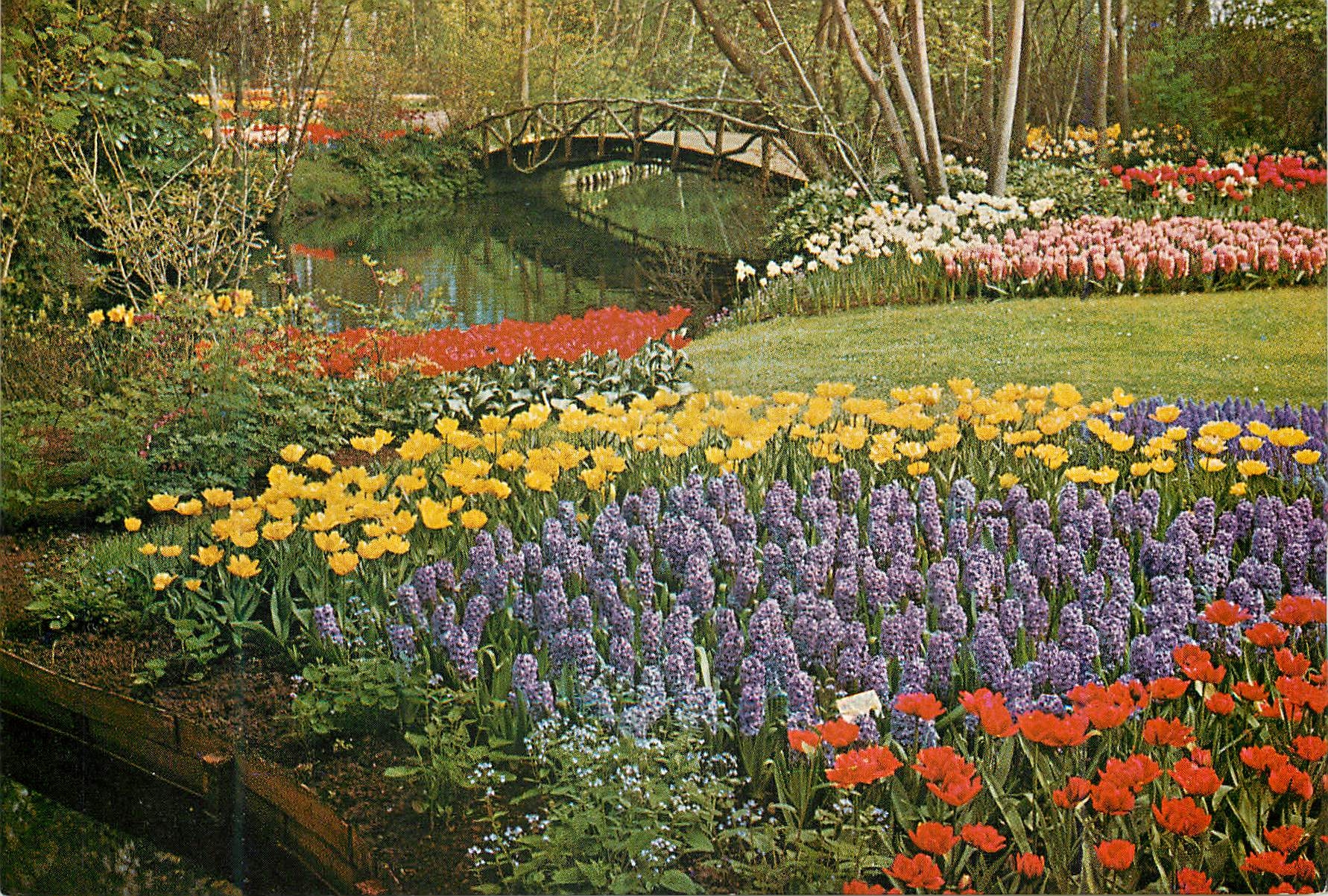 CPM Holland