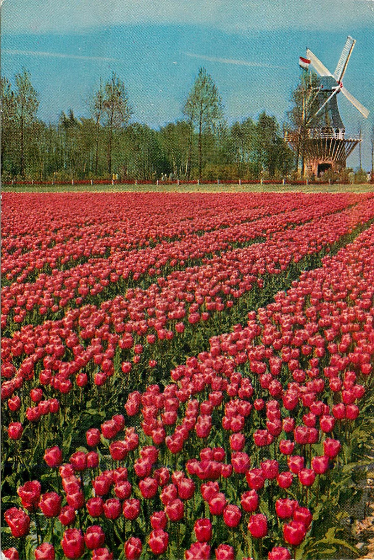 CPM Holland