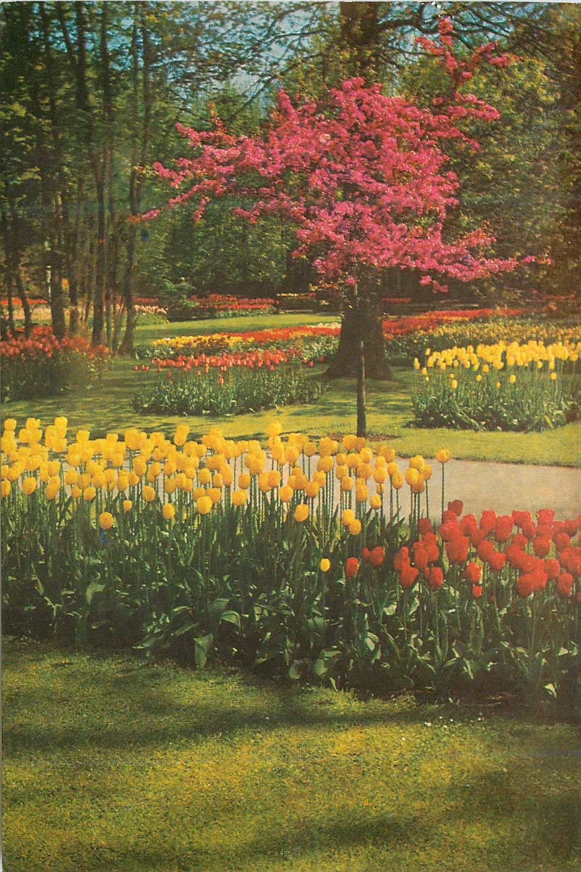 CPM Keukenhof Lisse Holland