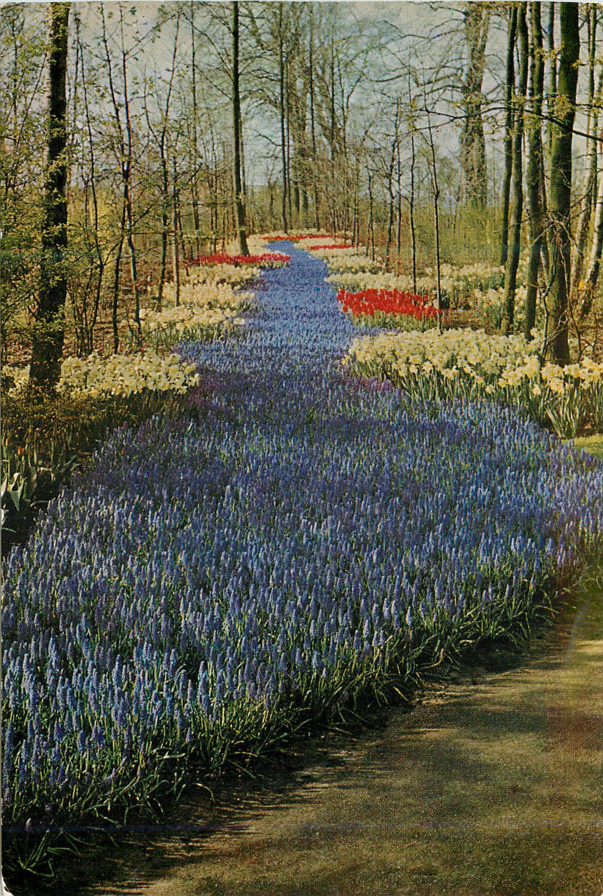 CPM Keukenhof Lisse Holland