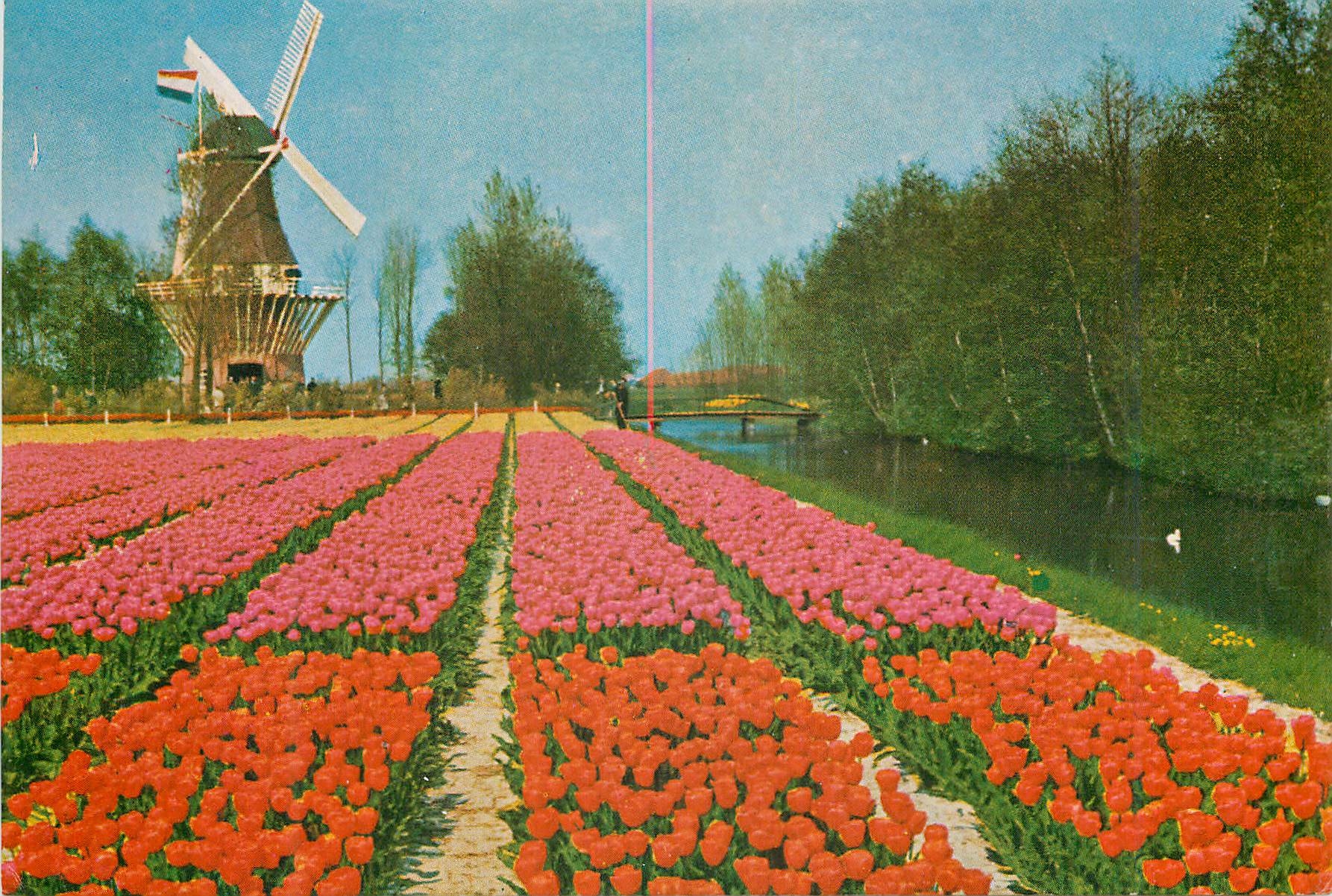 CPM Keukenhof Lisse Holland