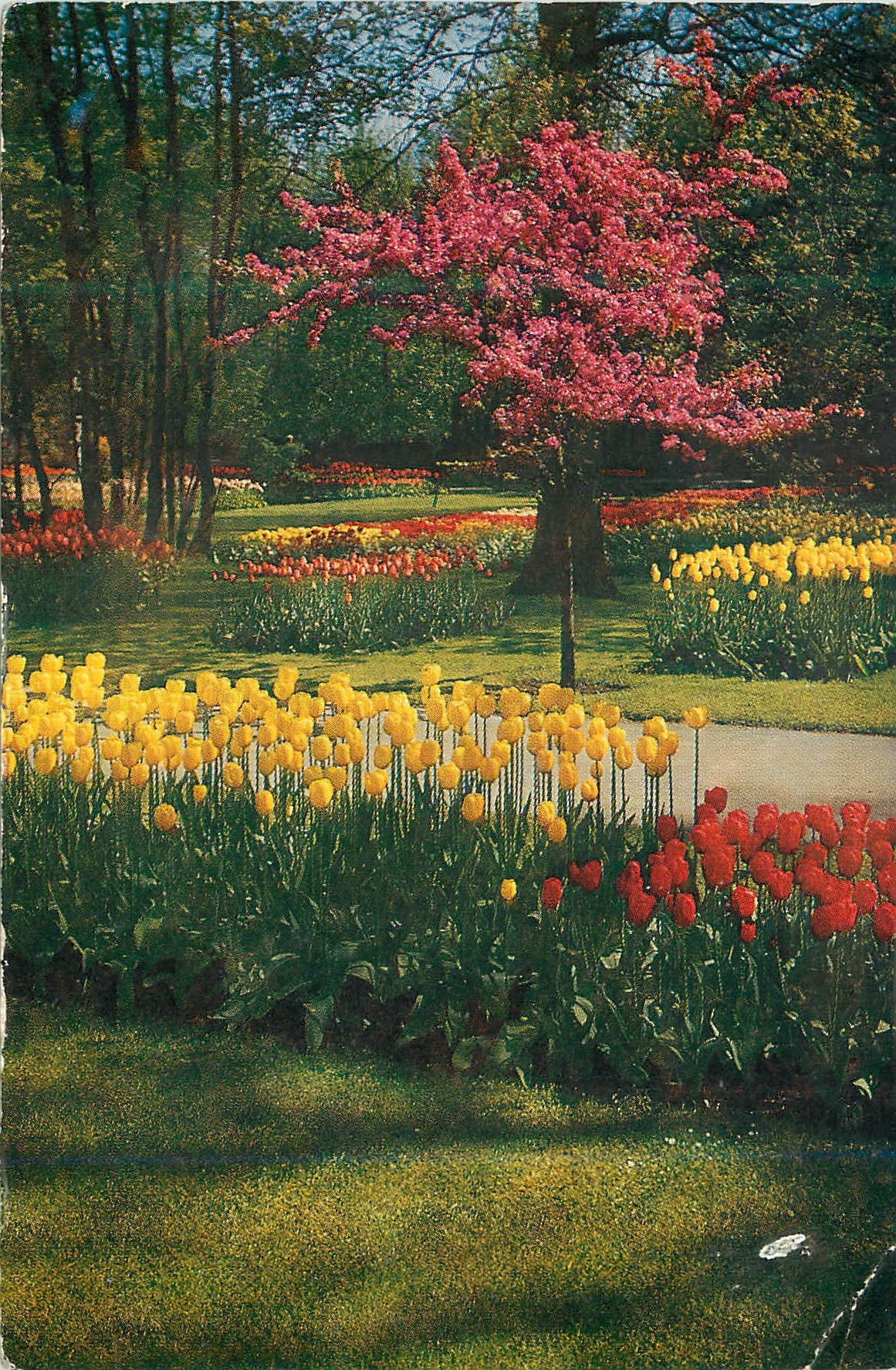 CPM Keukenhof Lisse Holland