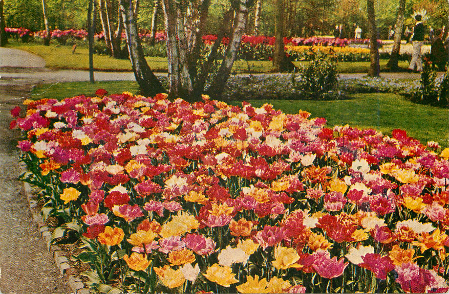 CPM Keukenhof Lisse Holland