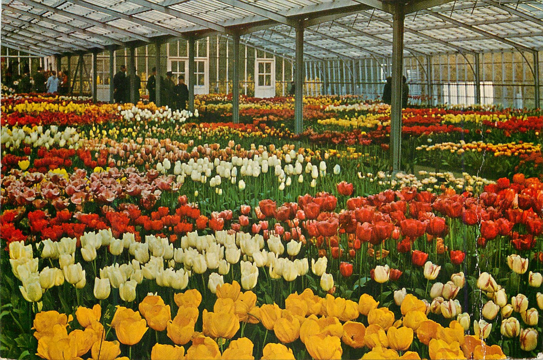 CPM Keukenhof Lisse Holland