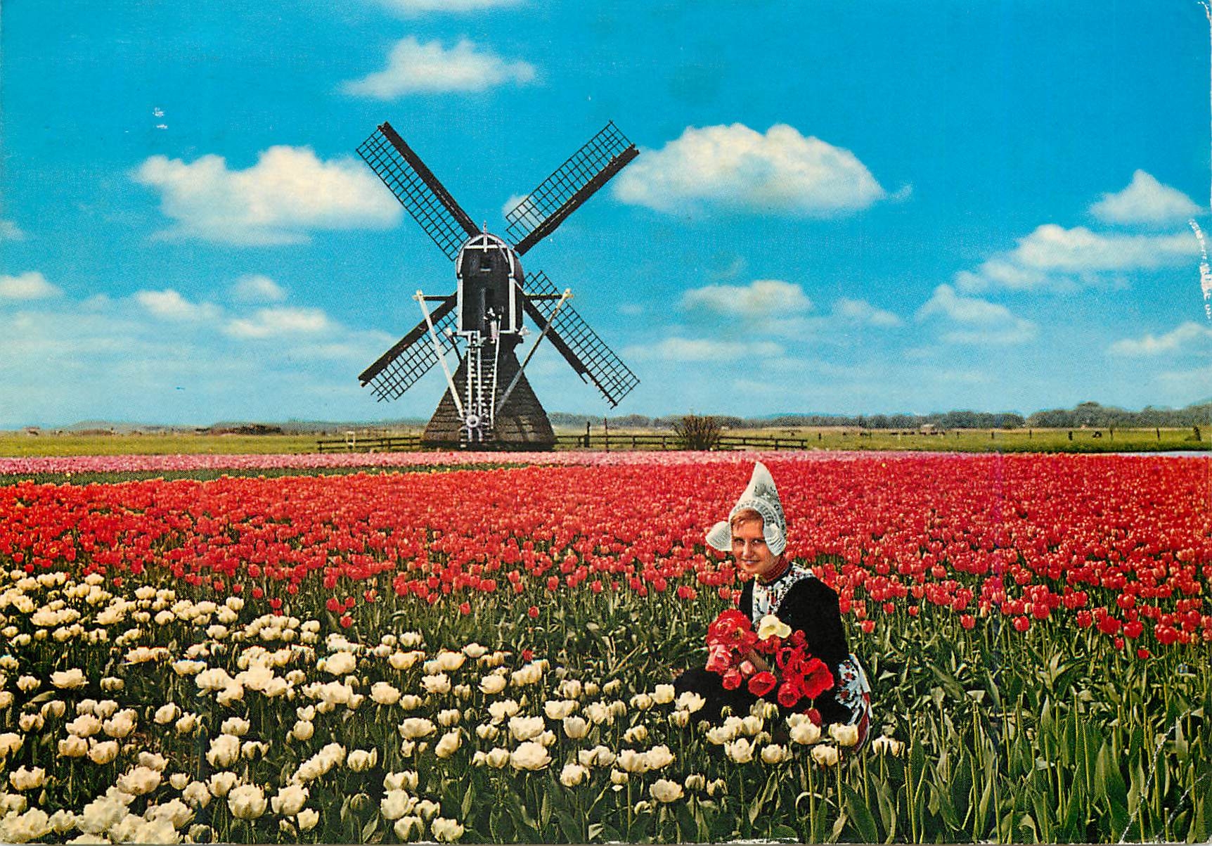 CPM Holland Land of Flowers and Wind millls Moulin
