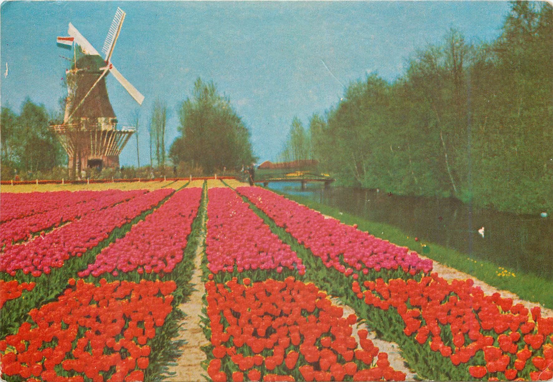 CPM Keukenhof Lisse Holland Moulin a vent