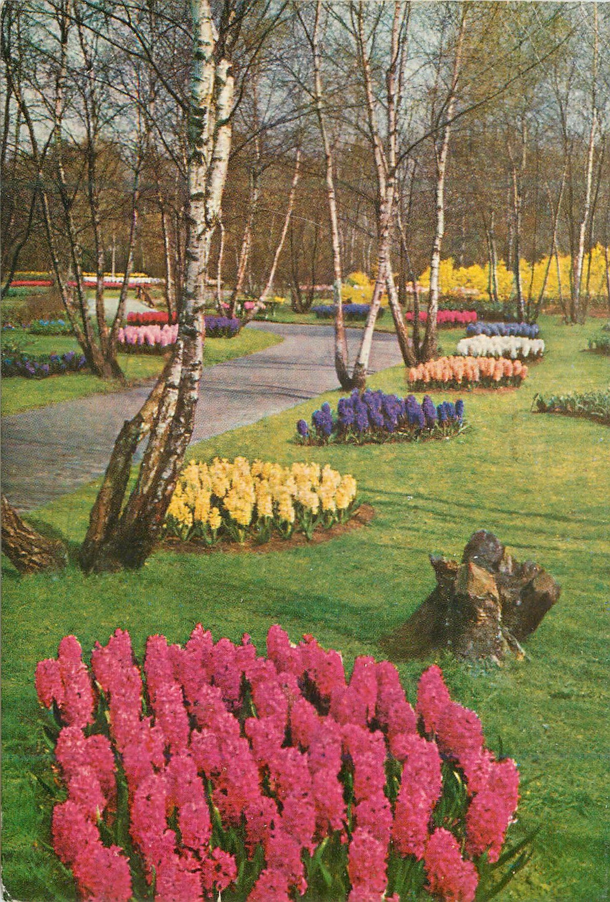 CPM Keukenhof Lisse Holland