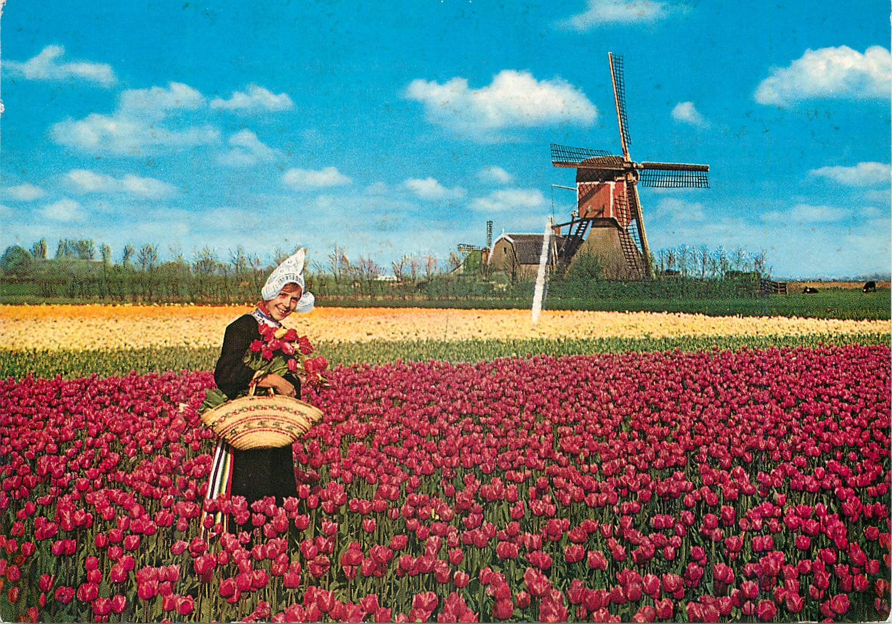 CPM Holland Land of Flowers and Wind mille
