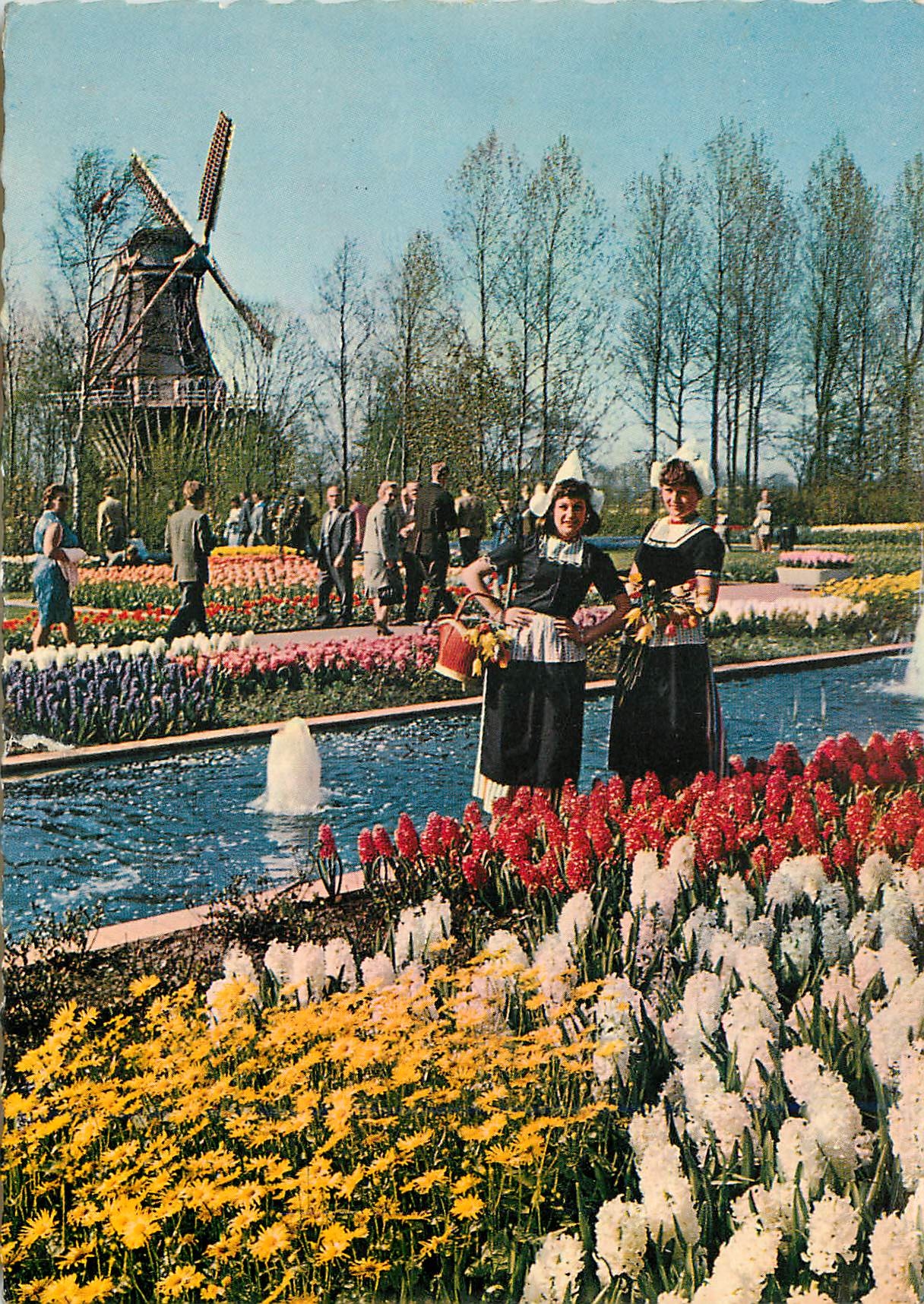 CPM La Hollande en parure des fleurs