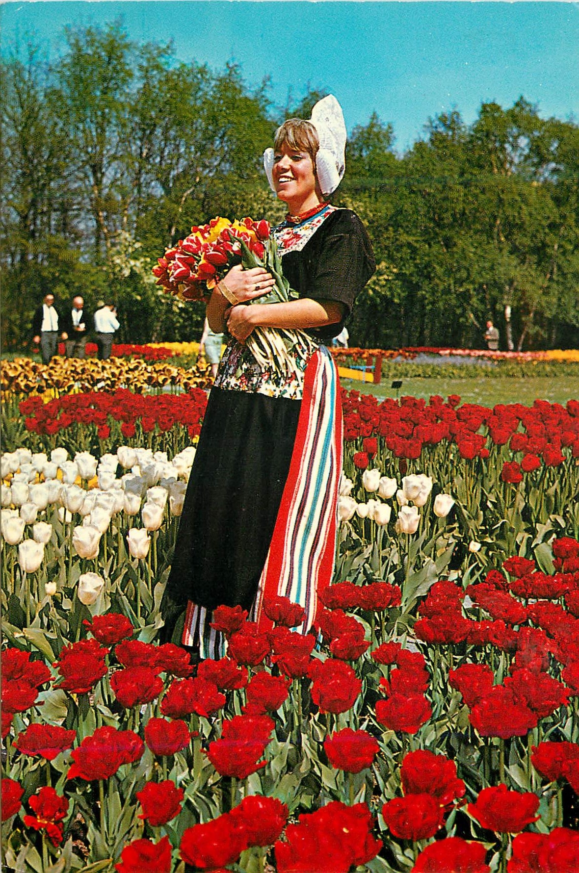 CPM La Hollande en parure des fleurs