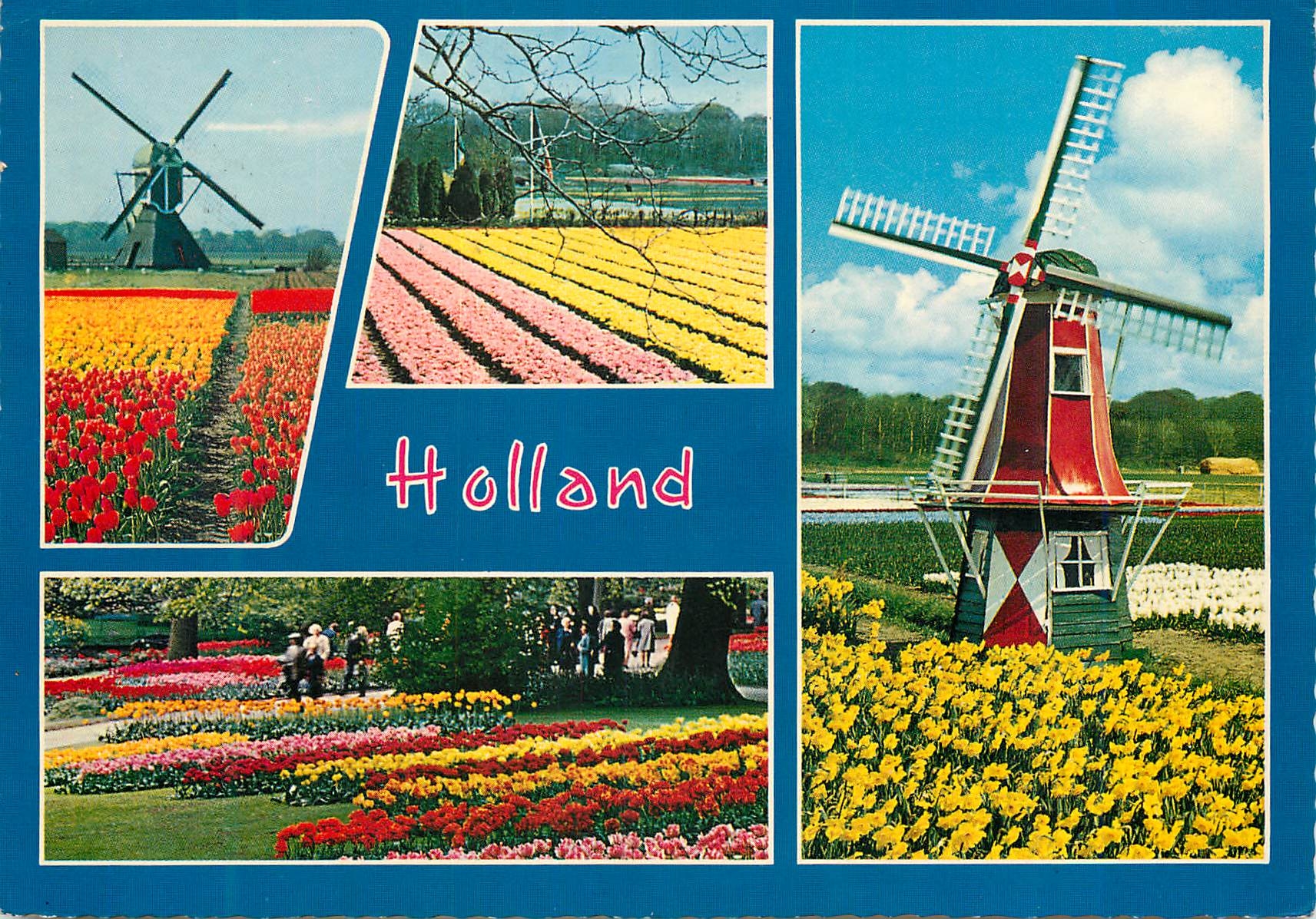 CPM Holland in Flower decoration